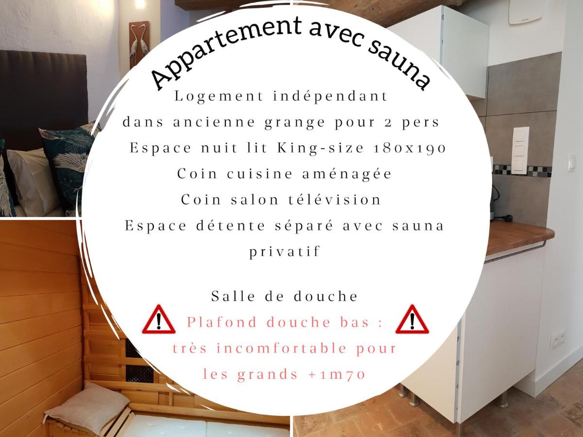 Apartment with Sauna photo 1