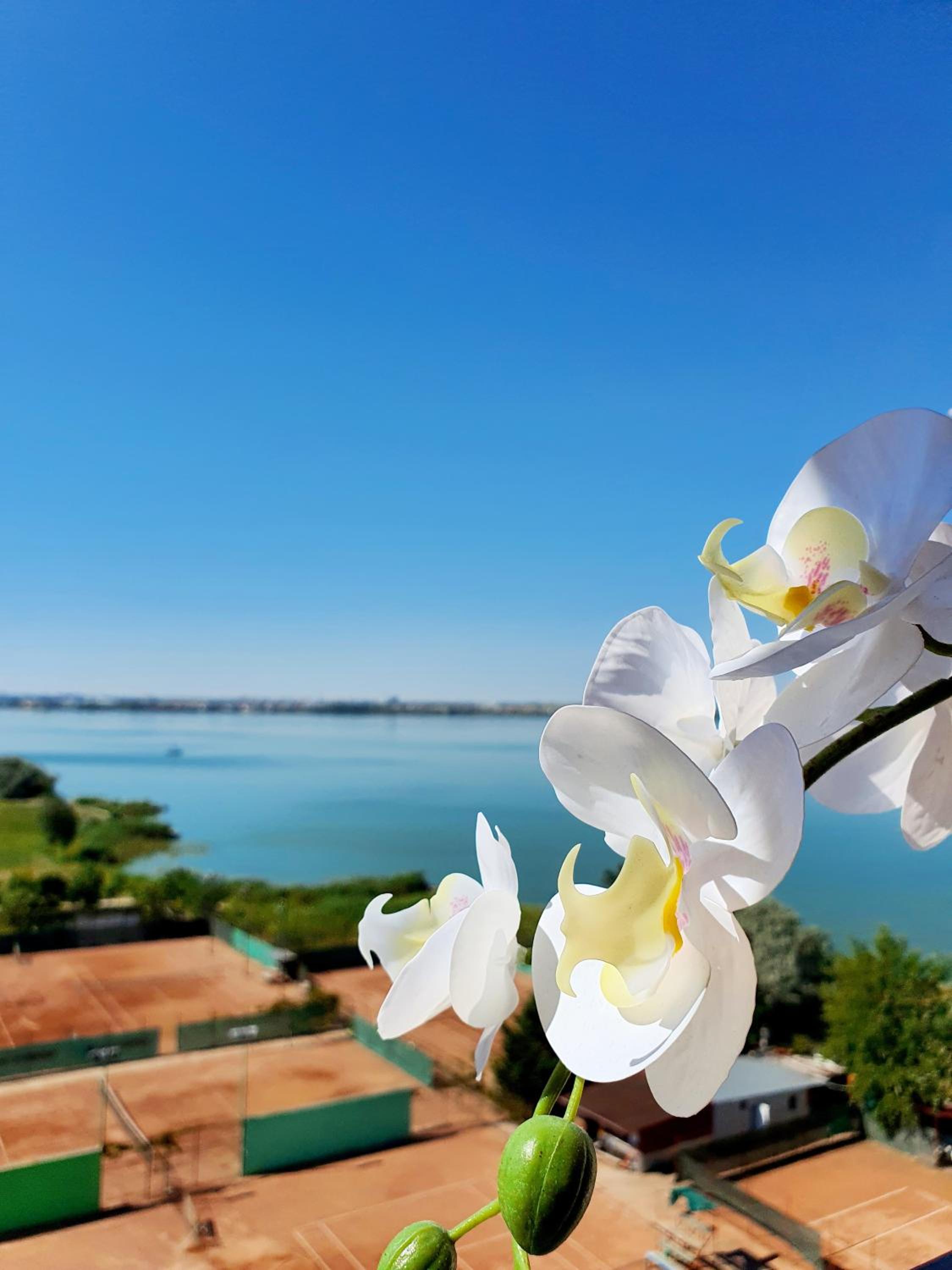 Apartment with Sea View - Photo 11