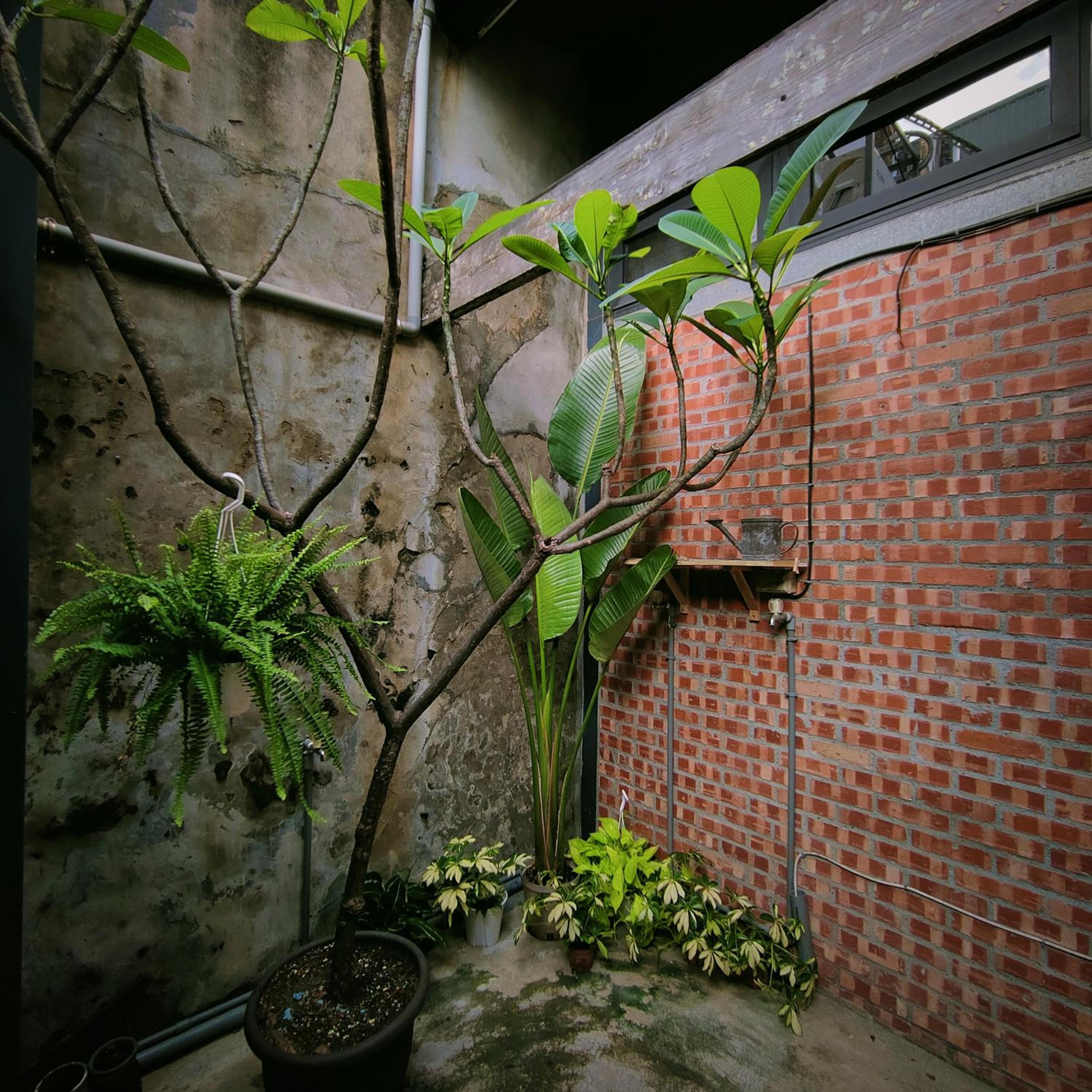 Double Room - Photo 6