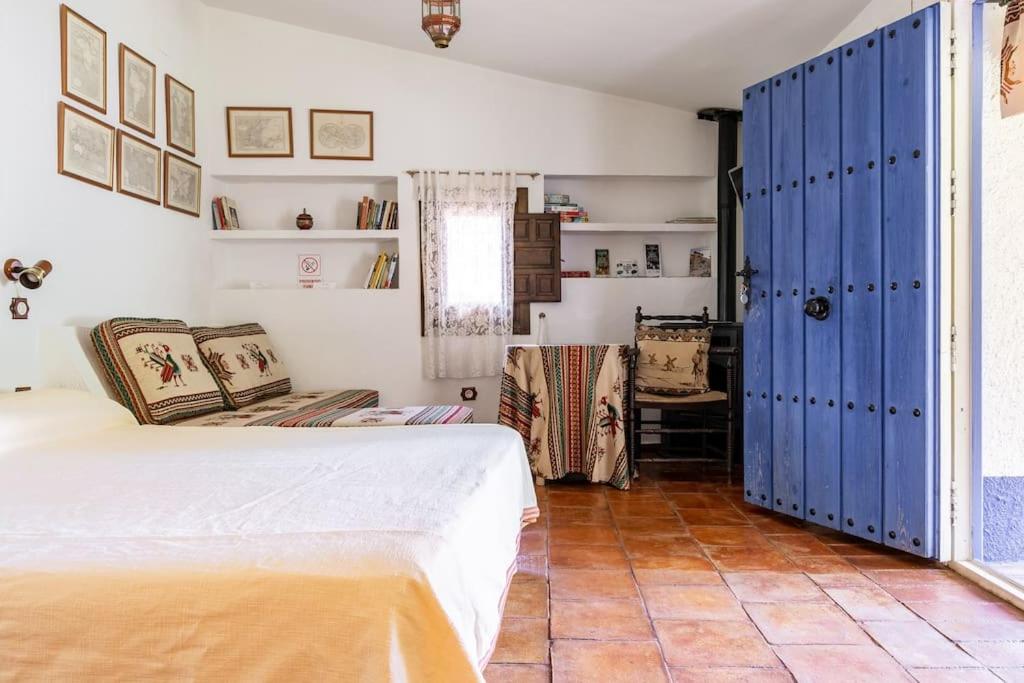 Estudio con terraza