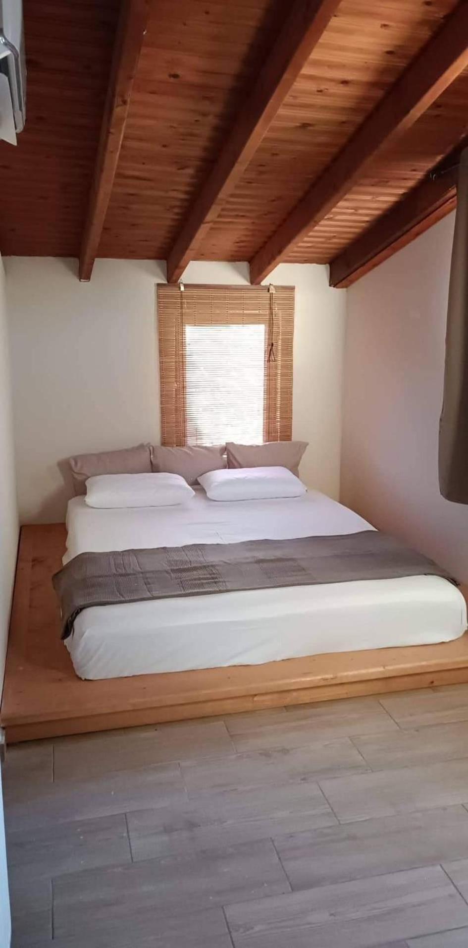 One-Bedroom House photo 1