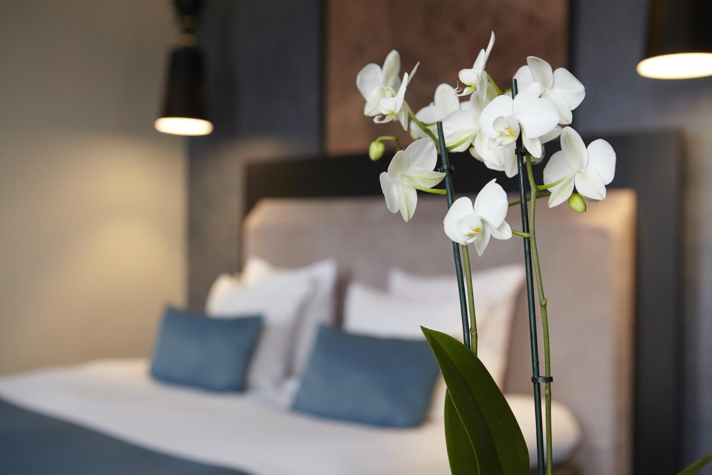 Deluxe Double Room with Balcony photo 3