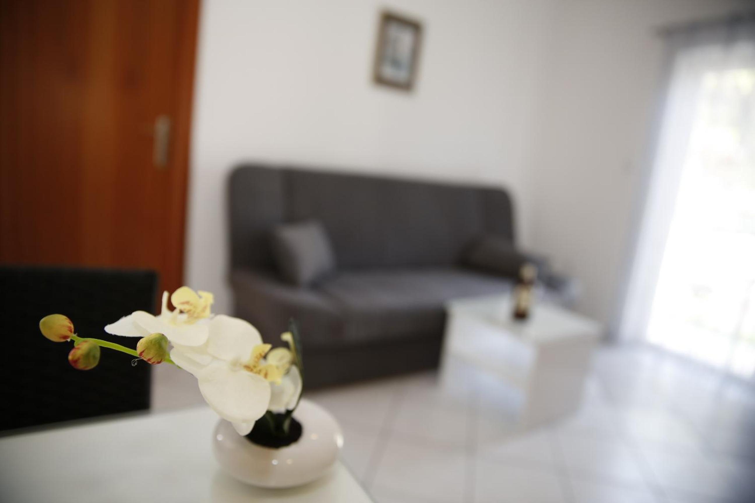 One-Bedroom Apartment with Balcony photo 1