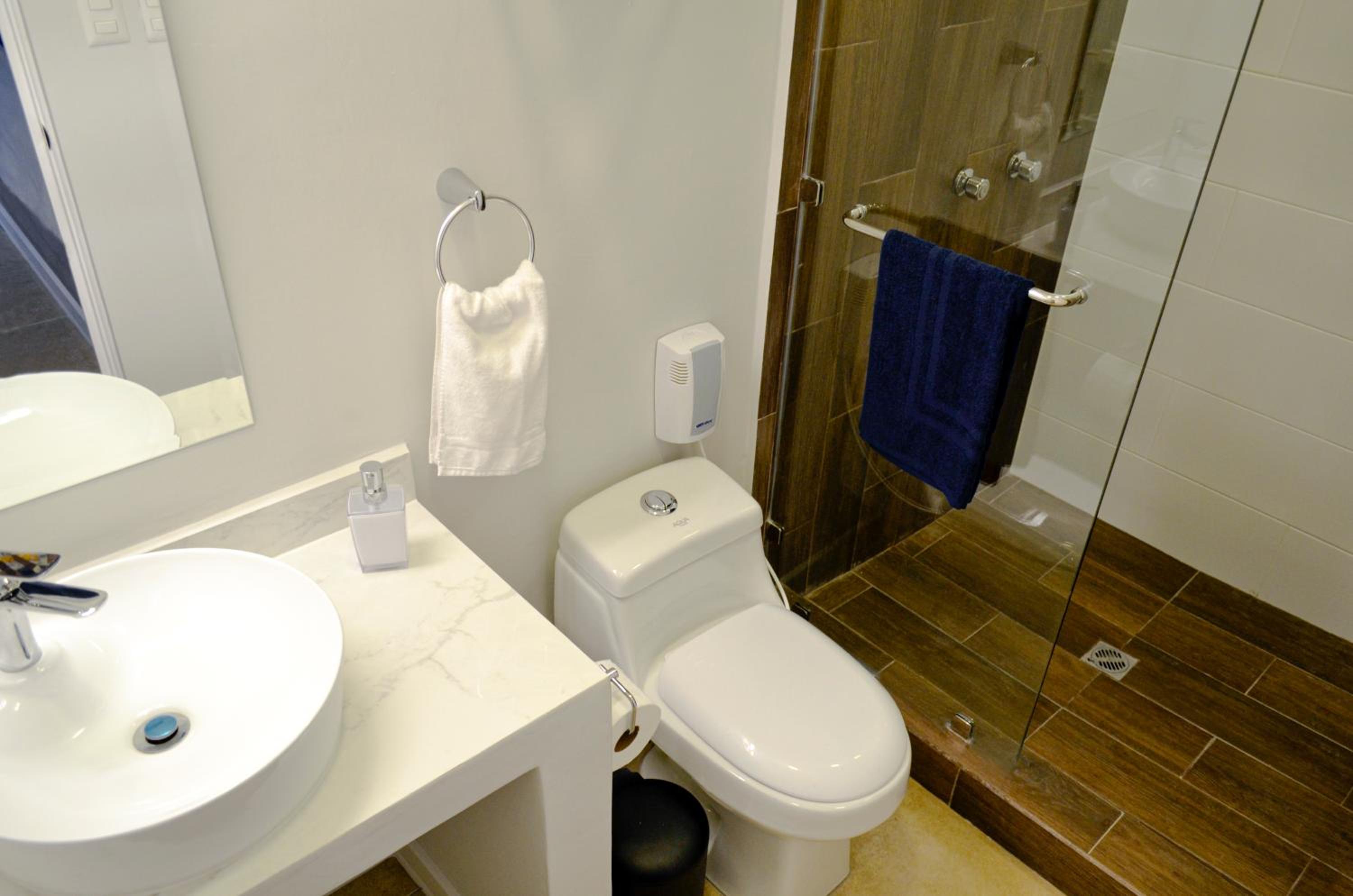 Deluxe King Suite photo 3