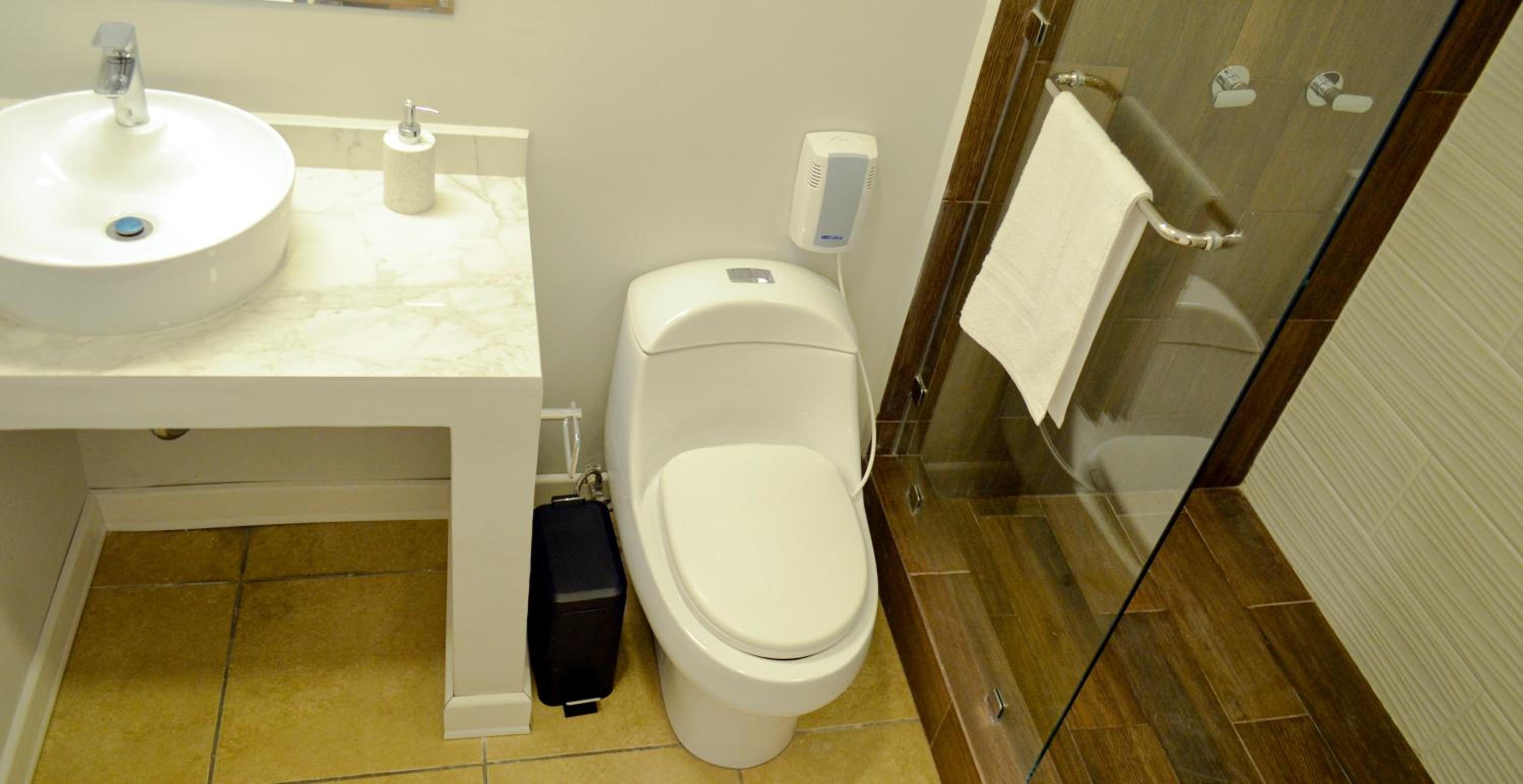 Deluxe King Suite