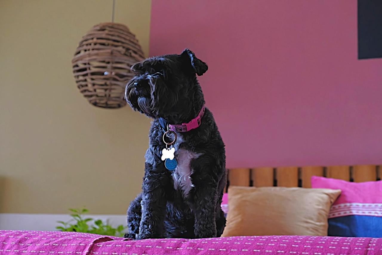 Double Room - Photo 56