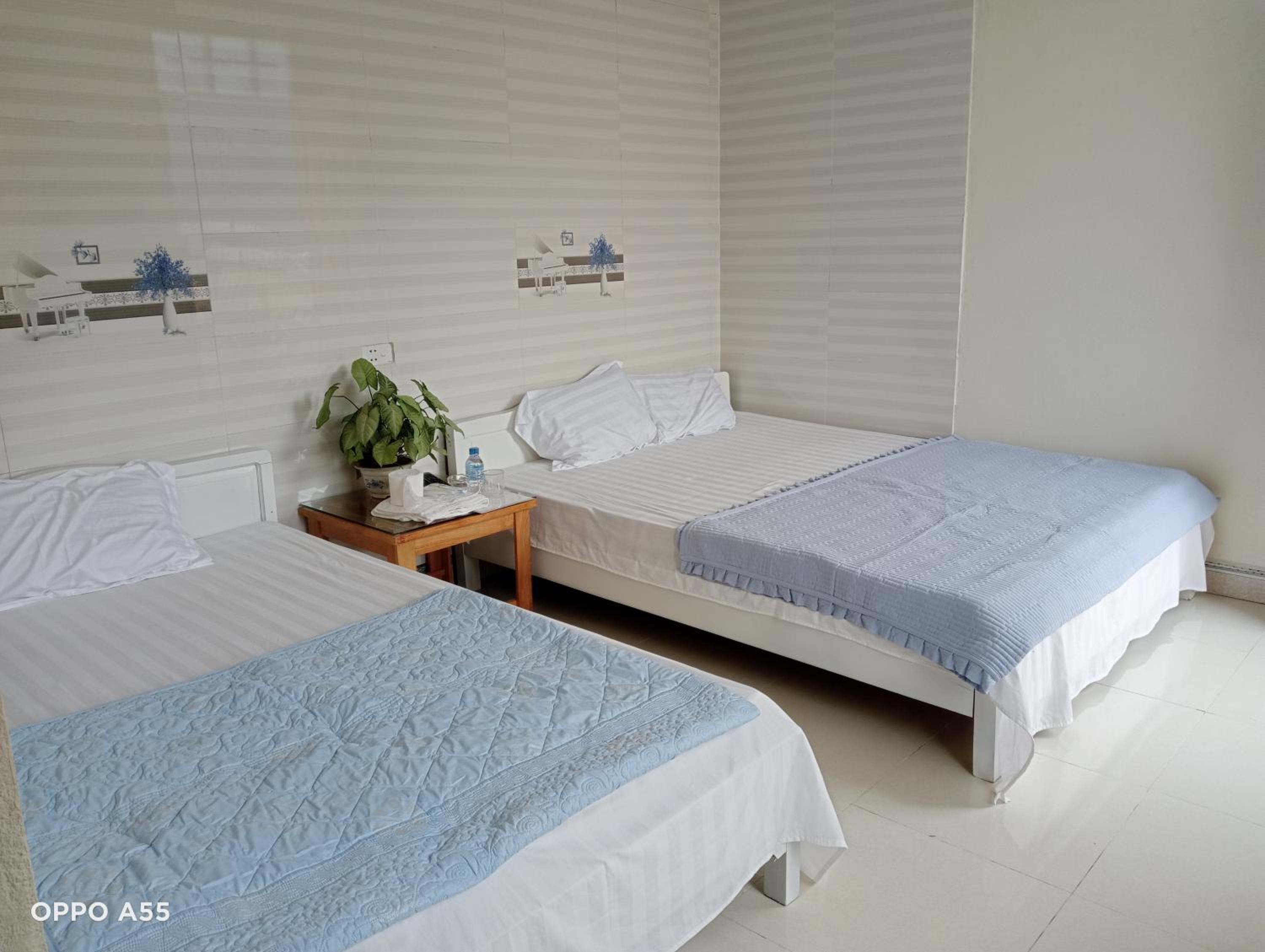 Triple Room photo 1