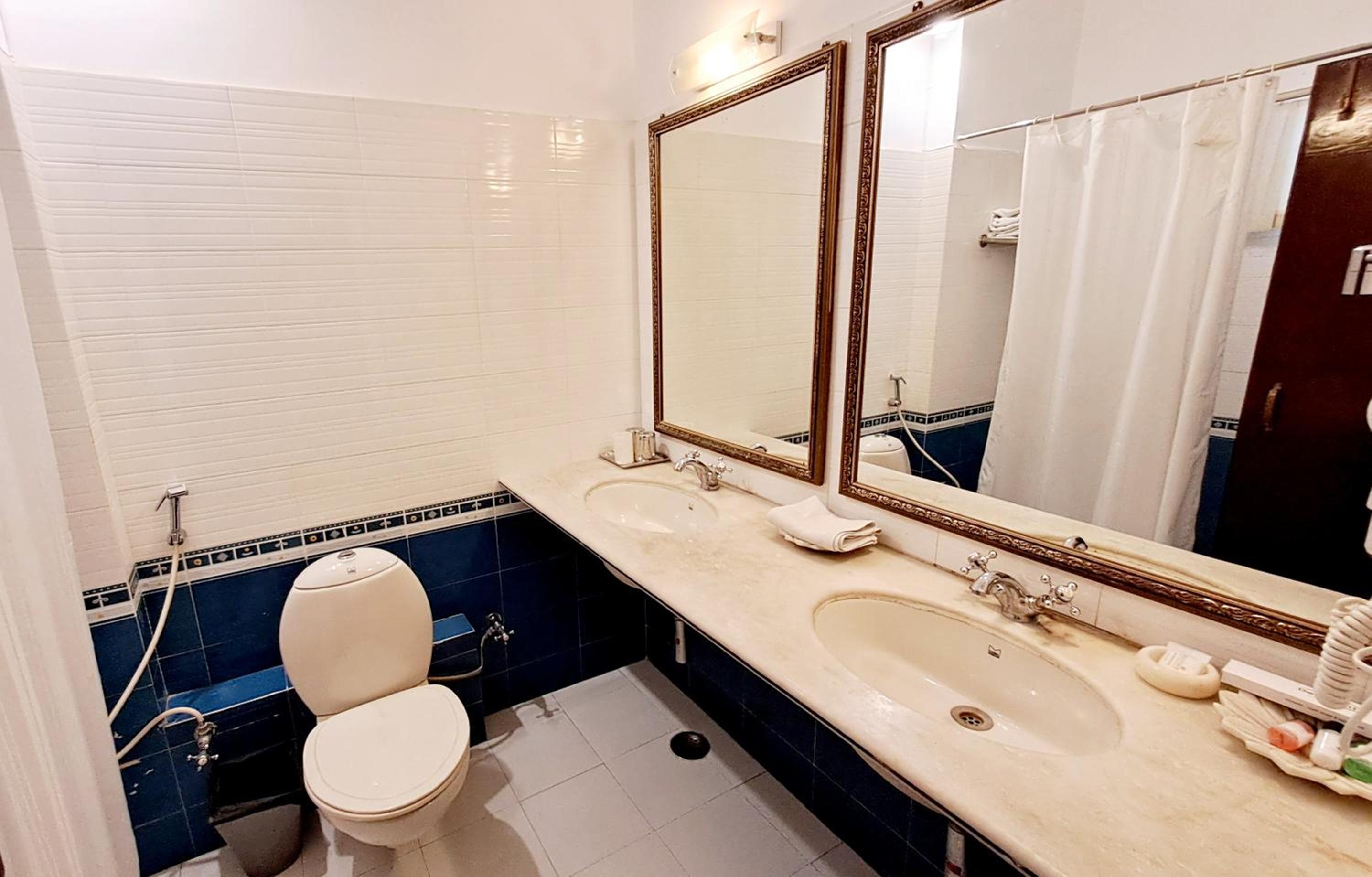 Deluxe Double or Twin Room photo 3
