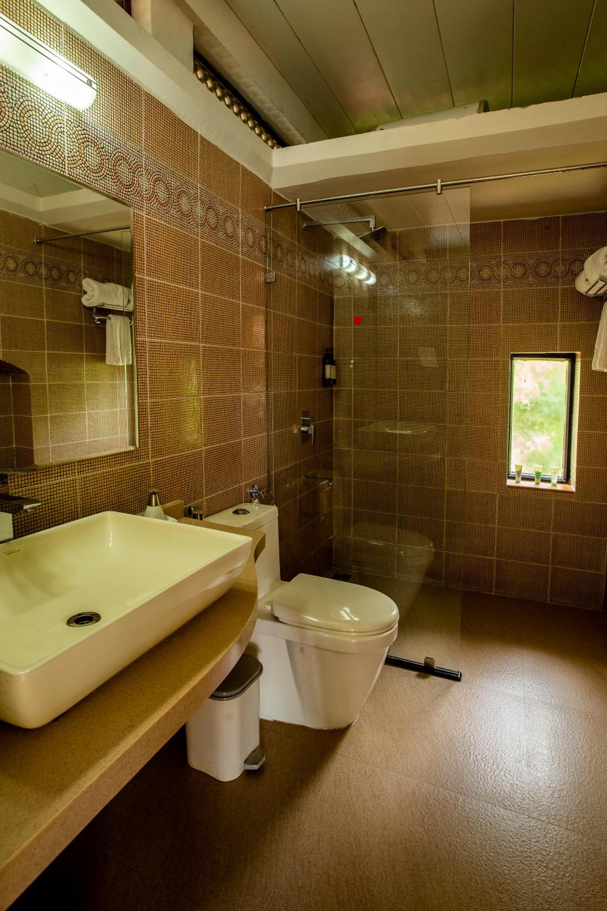 Deluxe Double or Twin Room - Photo 6