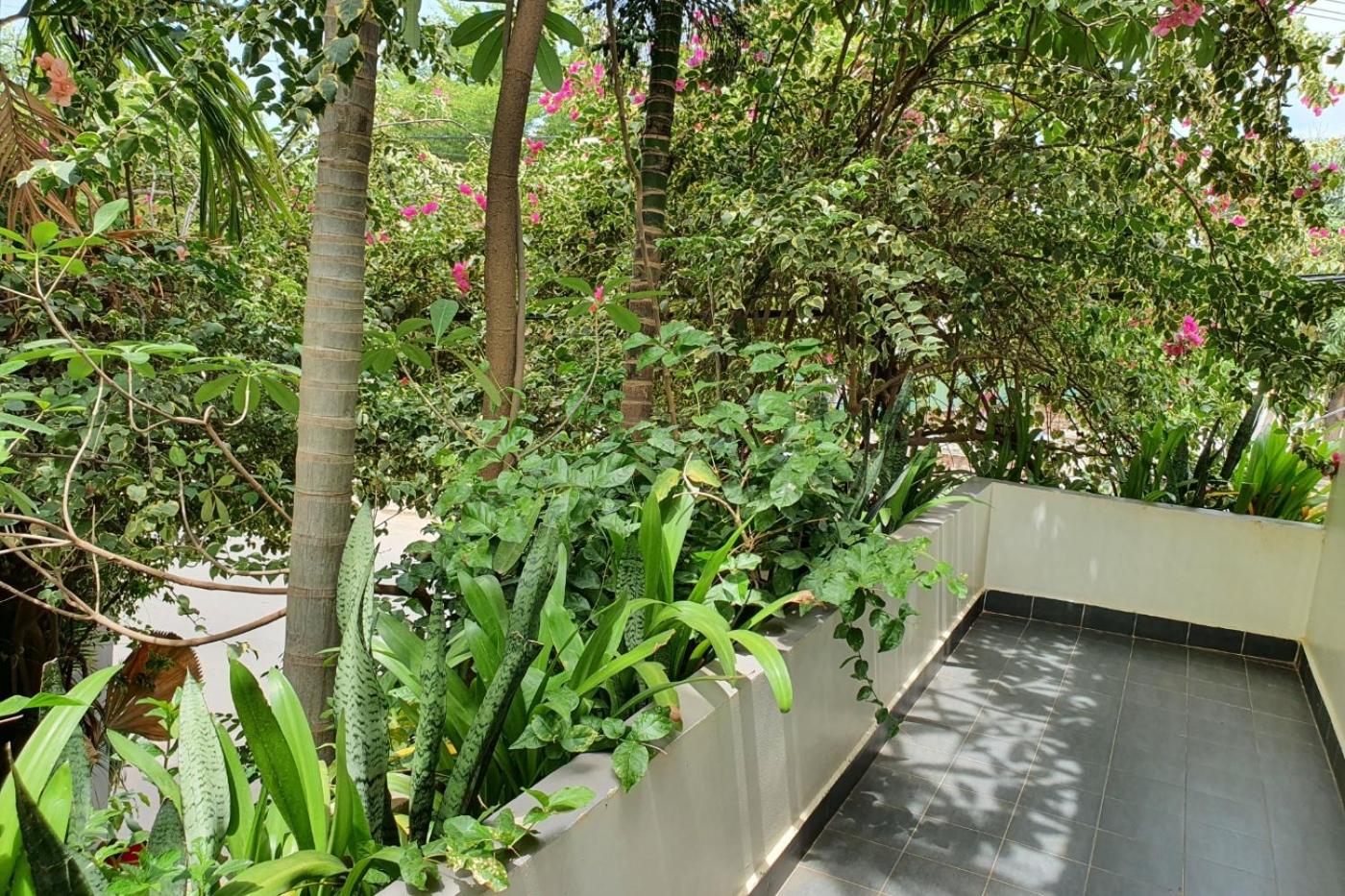 Deluxe Double or Twin Room - Photo 3