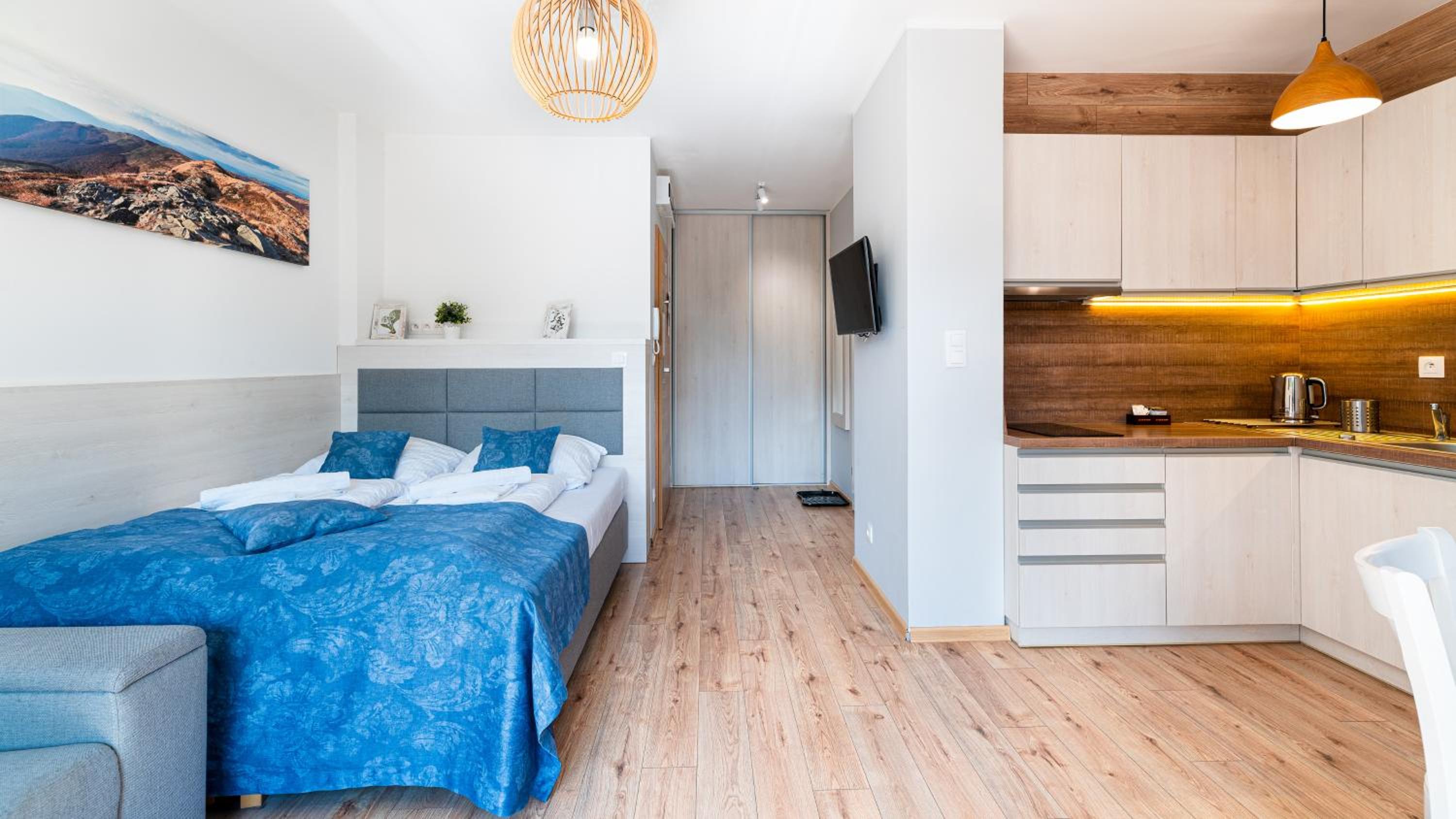 Studio Apartment photo 1