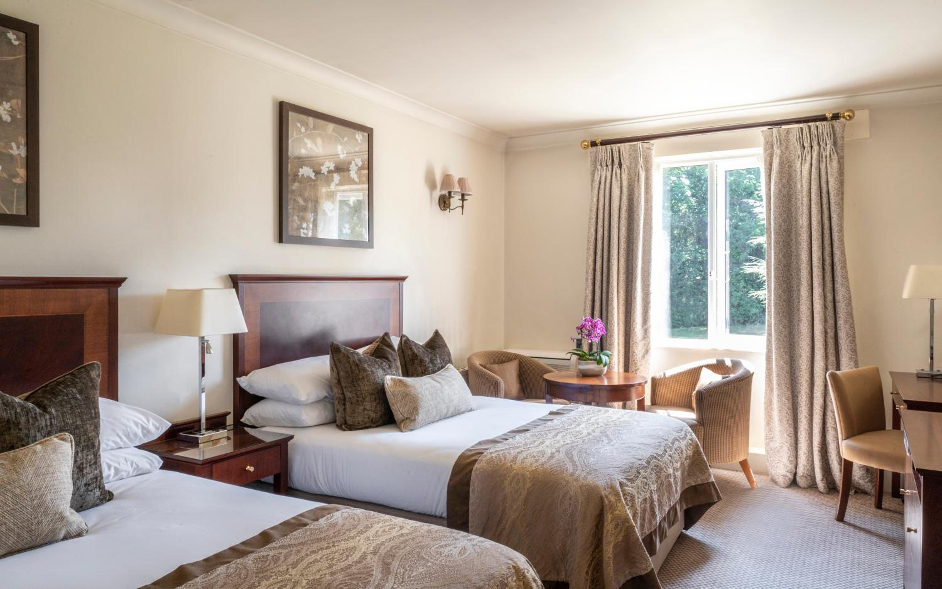 Executive Double Room - Photo 1