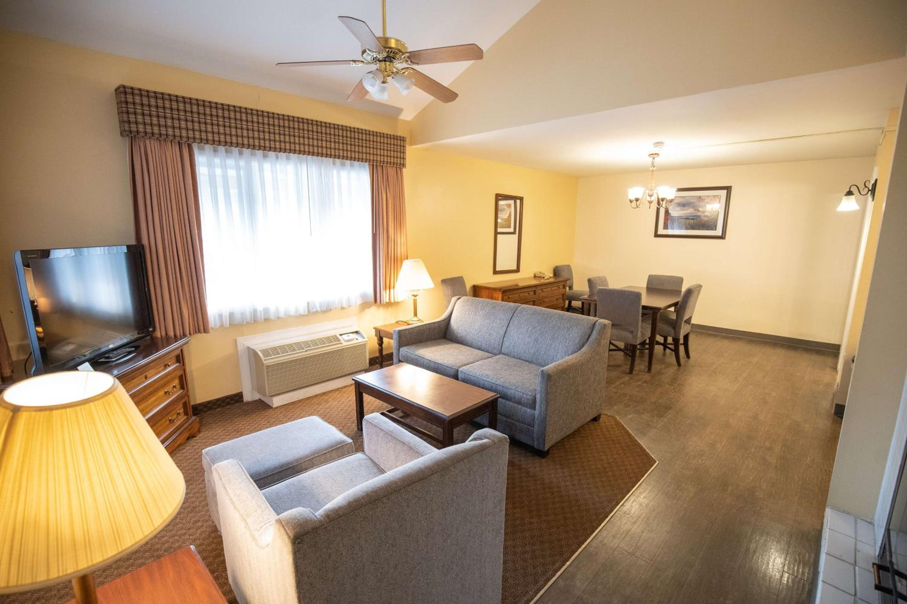 Suite - Photo 7