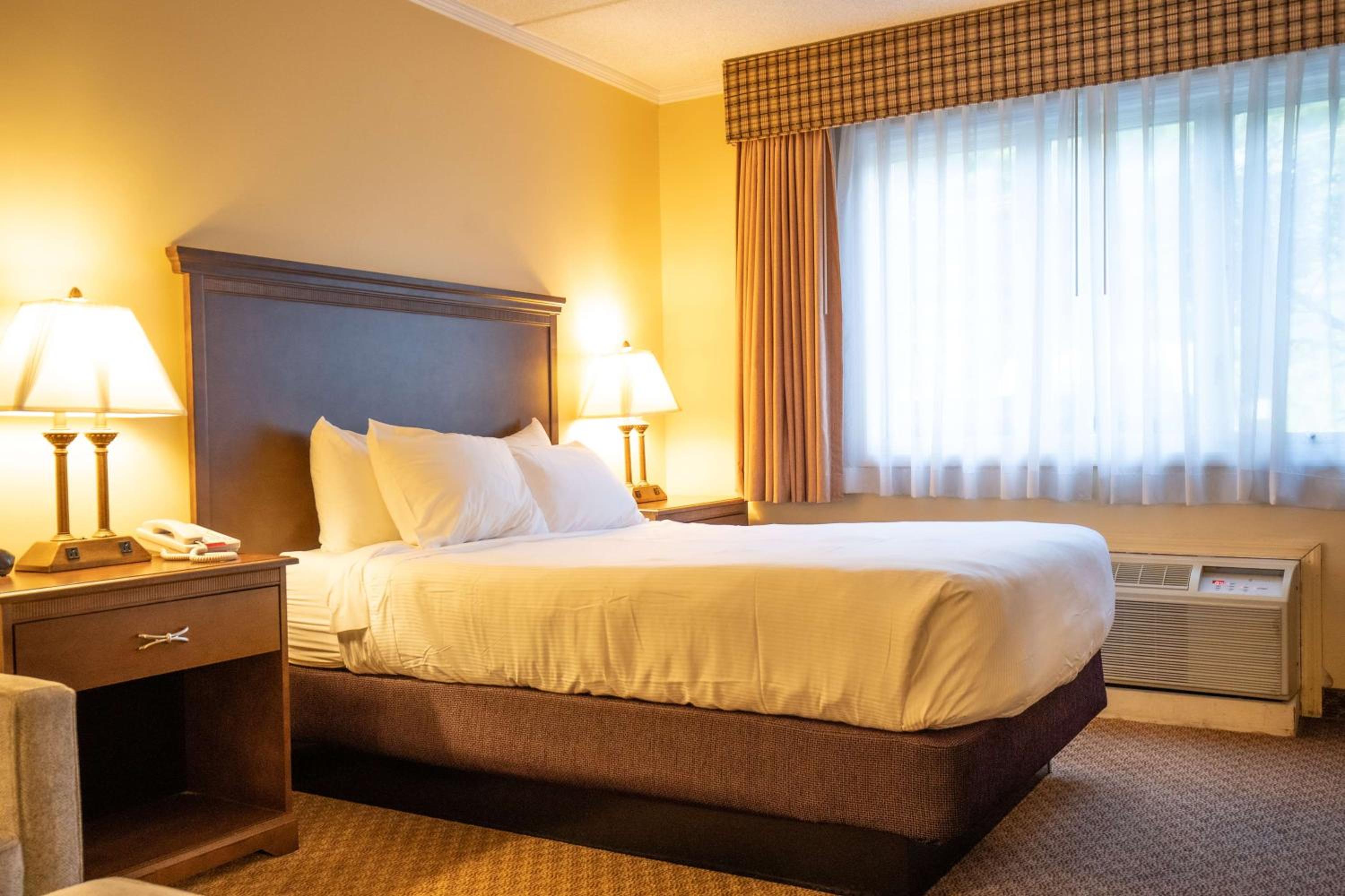 Disability Access- 1 Double Bed - Photo 3