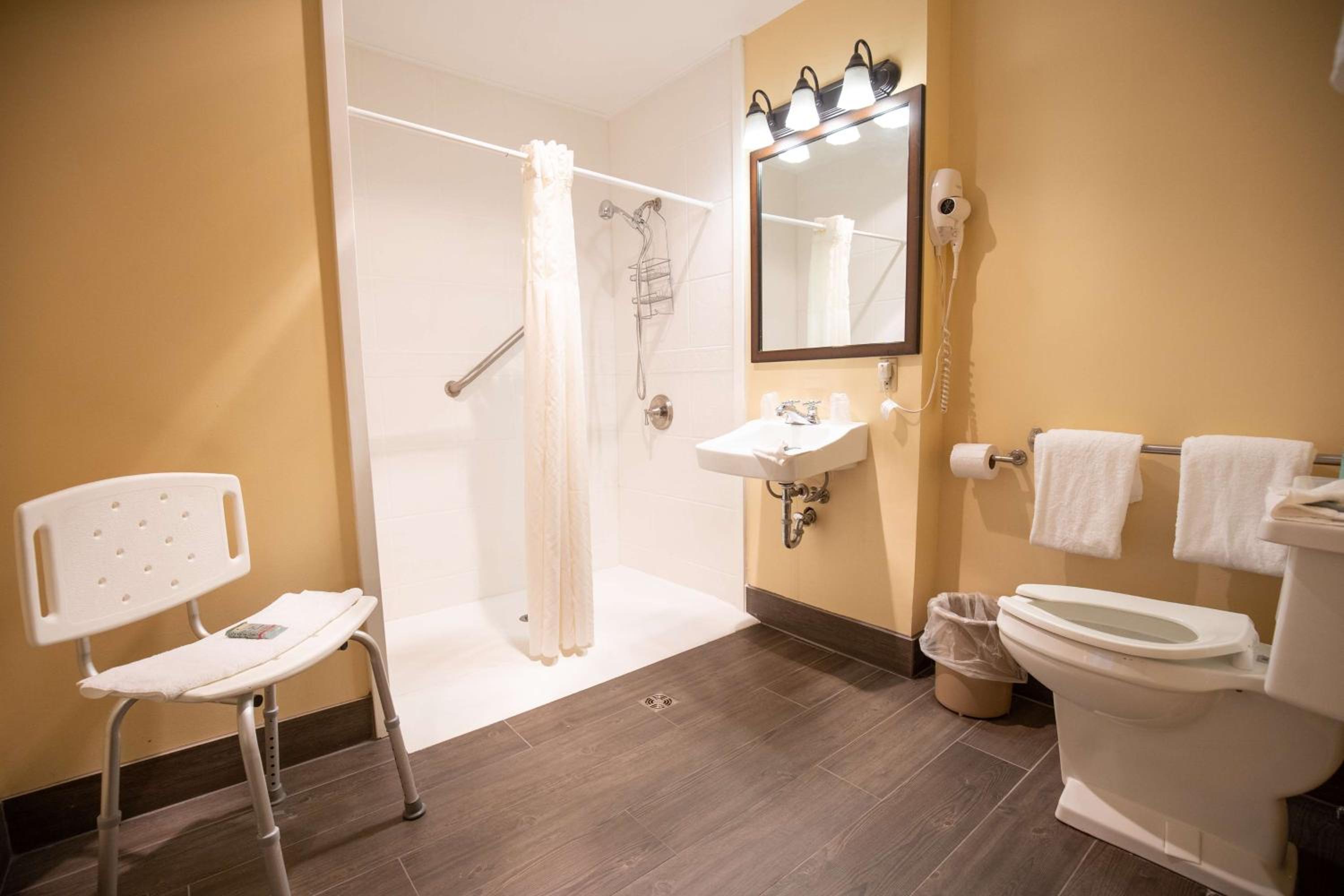 Double Room with Roll-In Shower - Disability Access - Photo 5