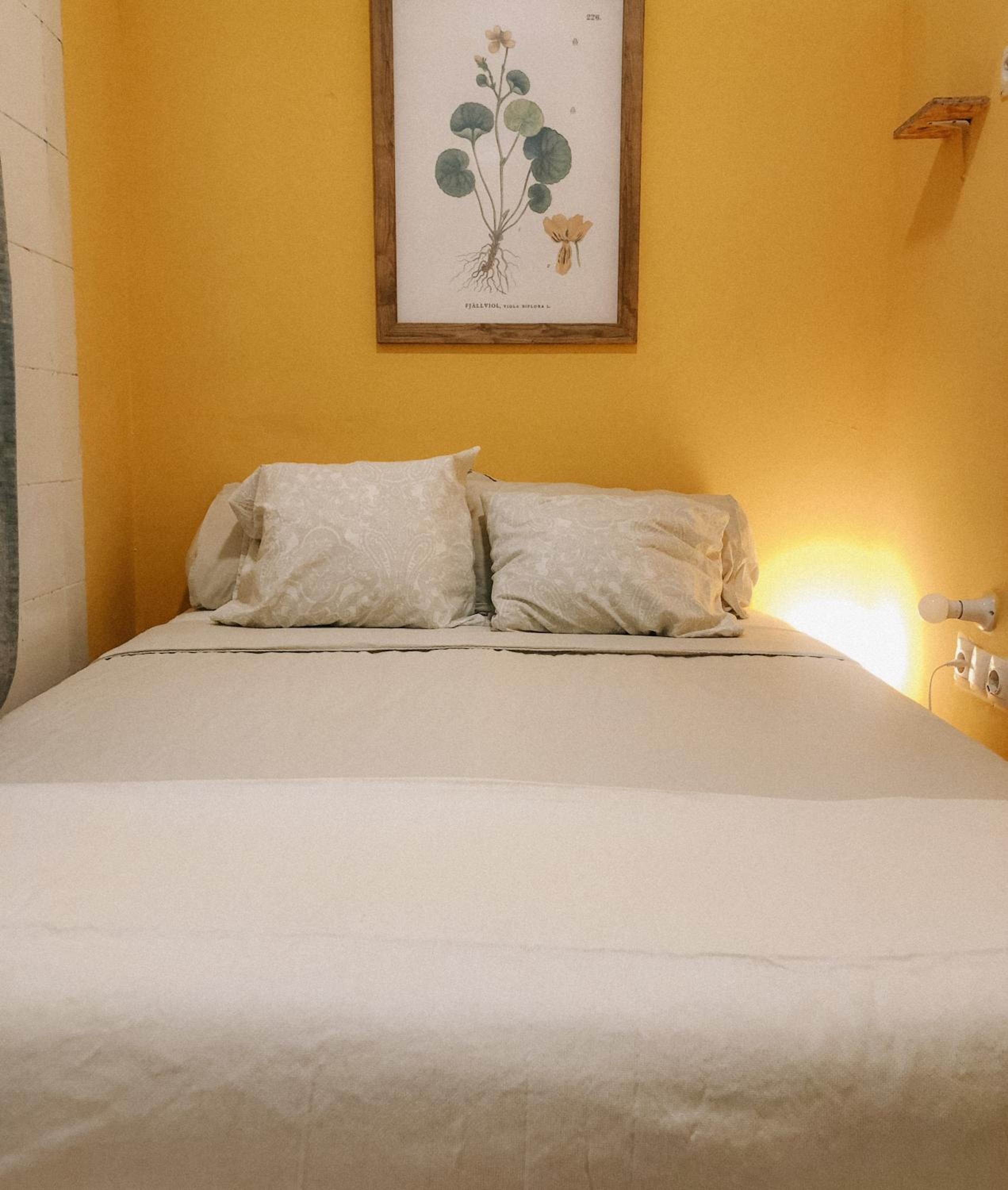 Economic Double Room