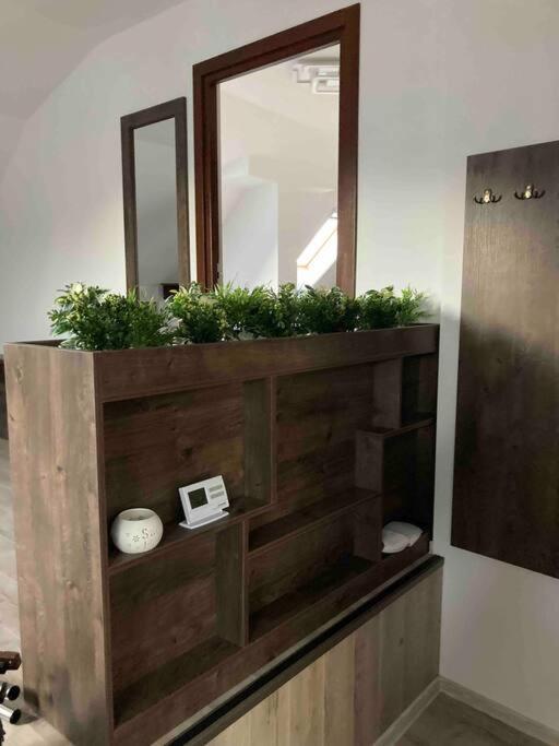 One-Bedroom Apartment - Photo 6