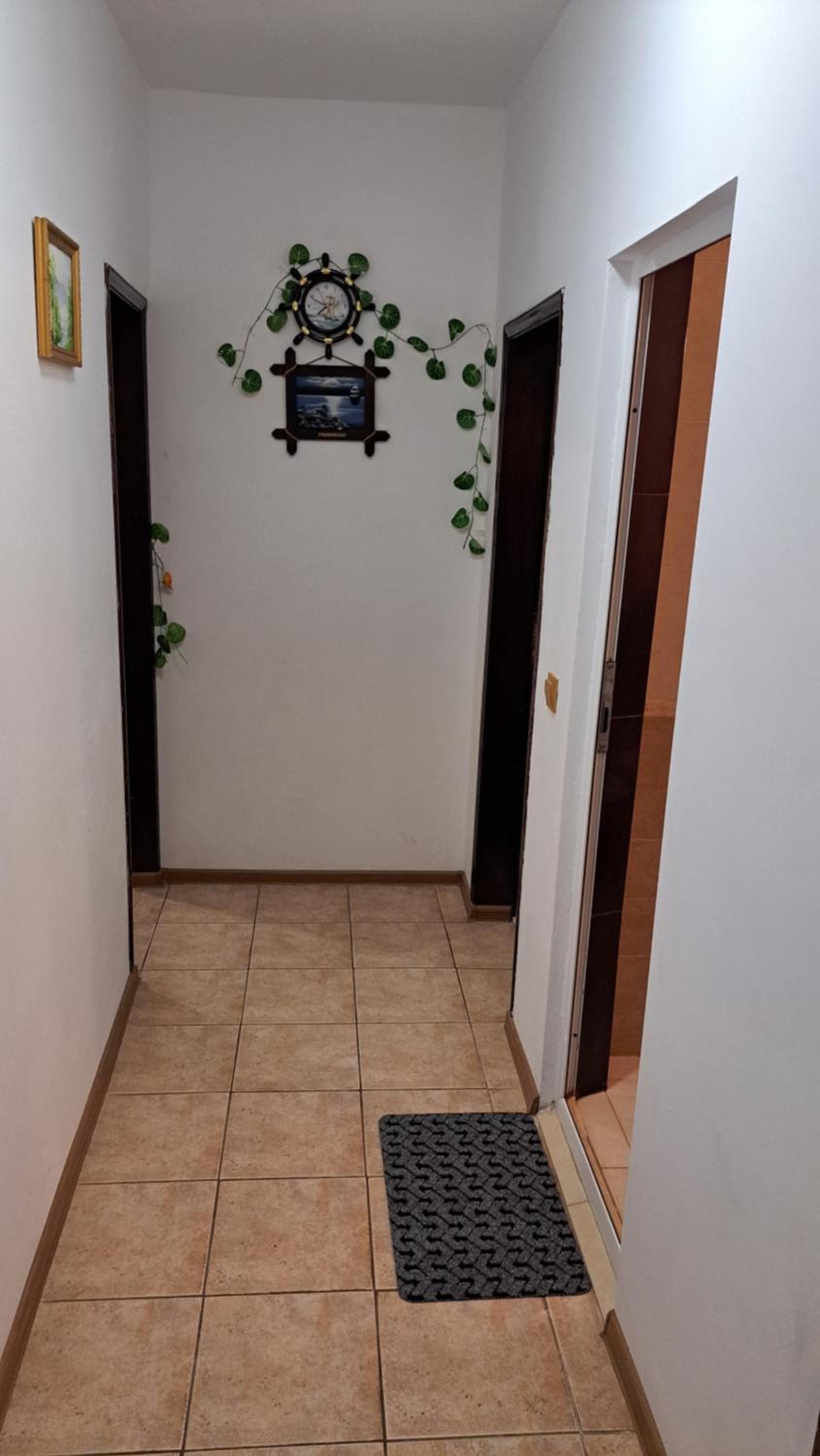Apartment with Sea View photo 2