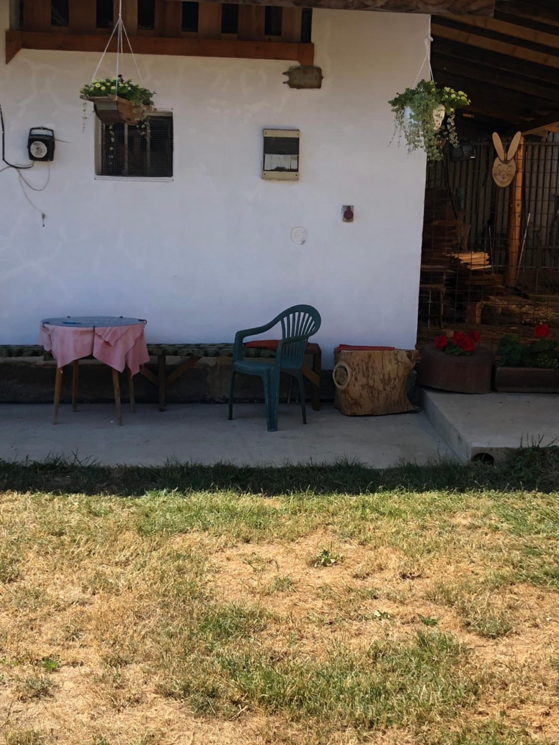 Apartment - Photo 7