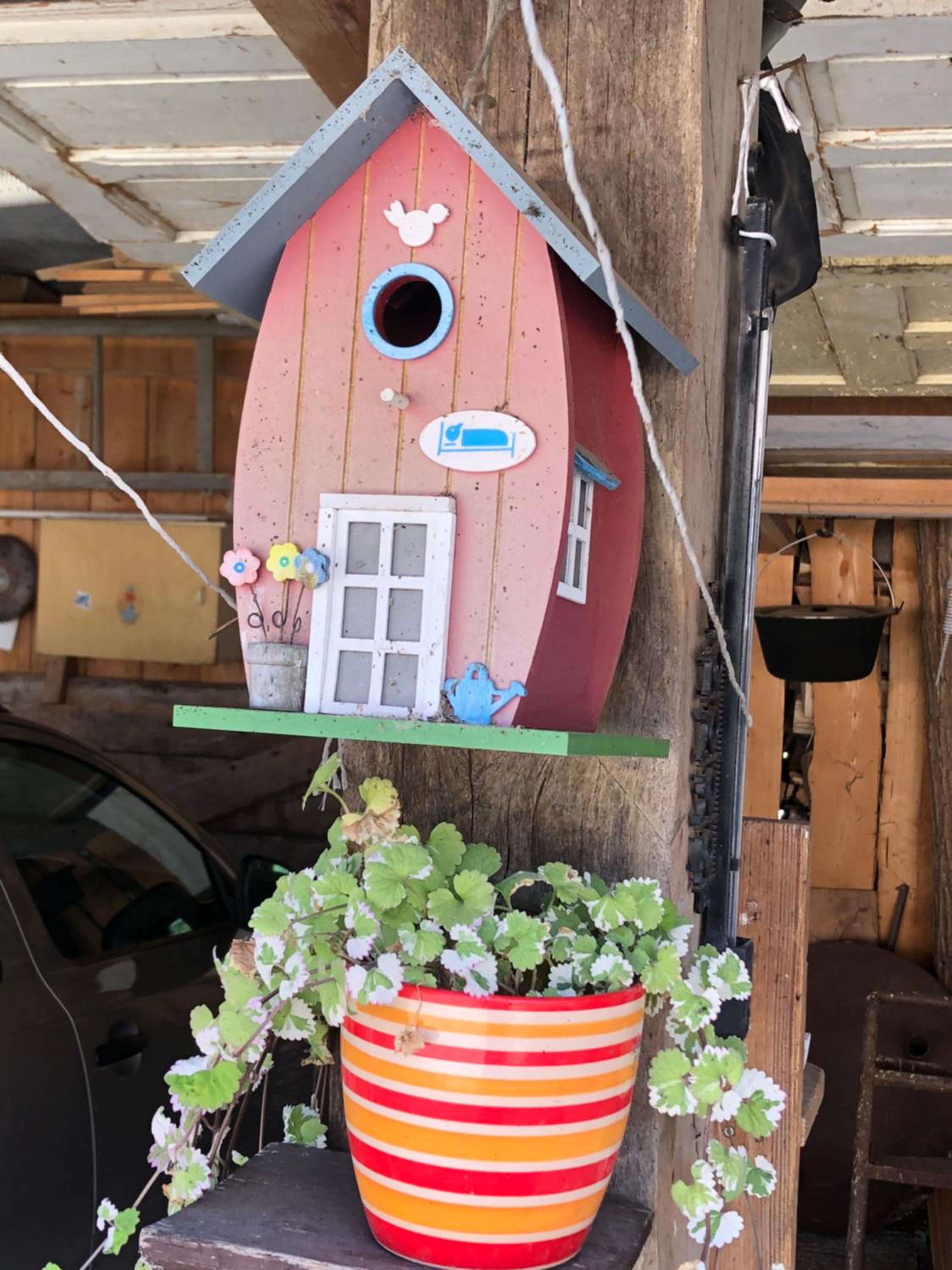 Apartment - Photo 38