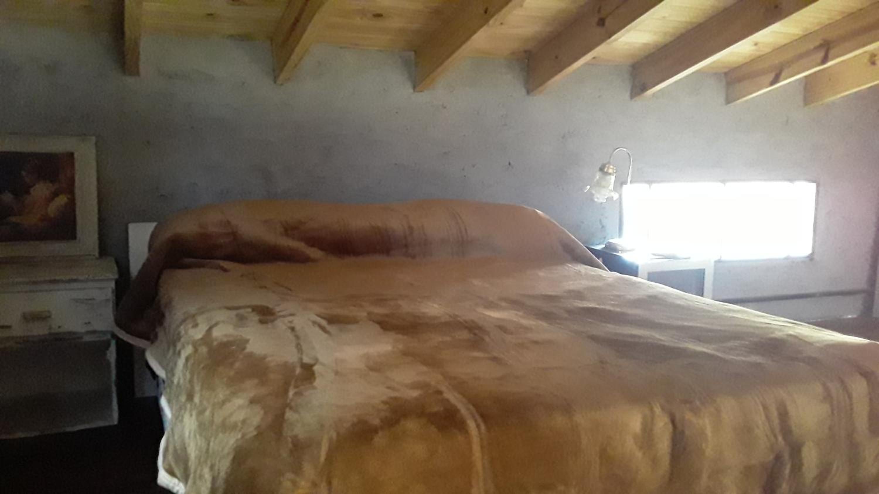 Quadruple Room with Garden View photo 1
