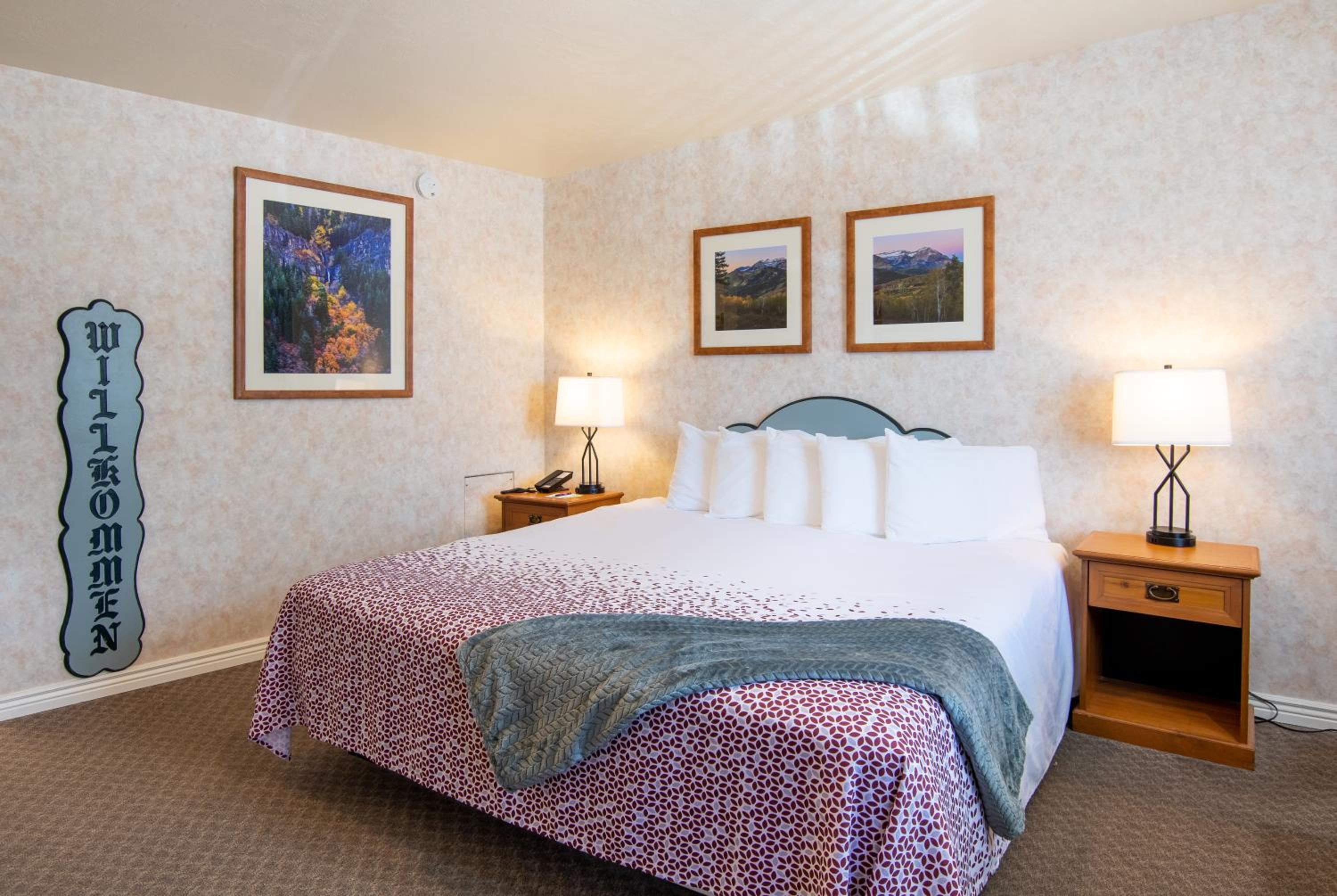 Single King Room photo 1