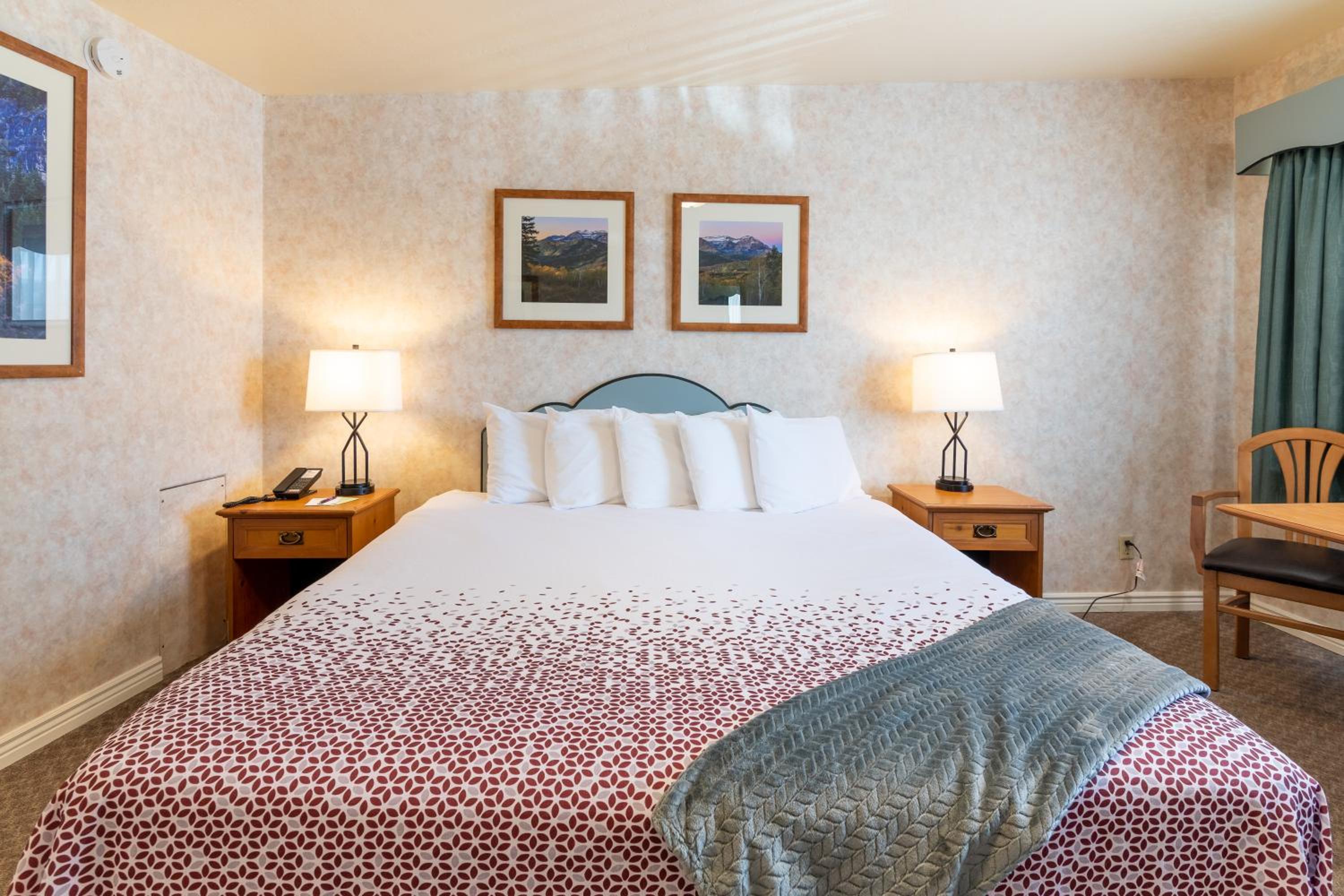 Single King Room photo 2