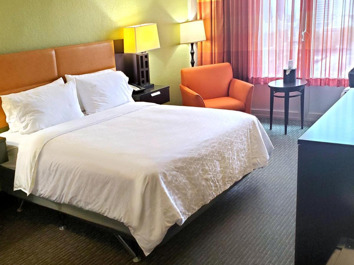 Room with One Queen Bed and Roll-In Shower - Accessible/Non Smoking photo 1