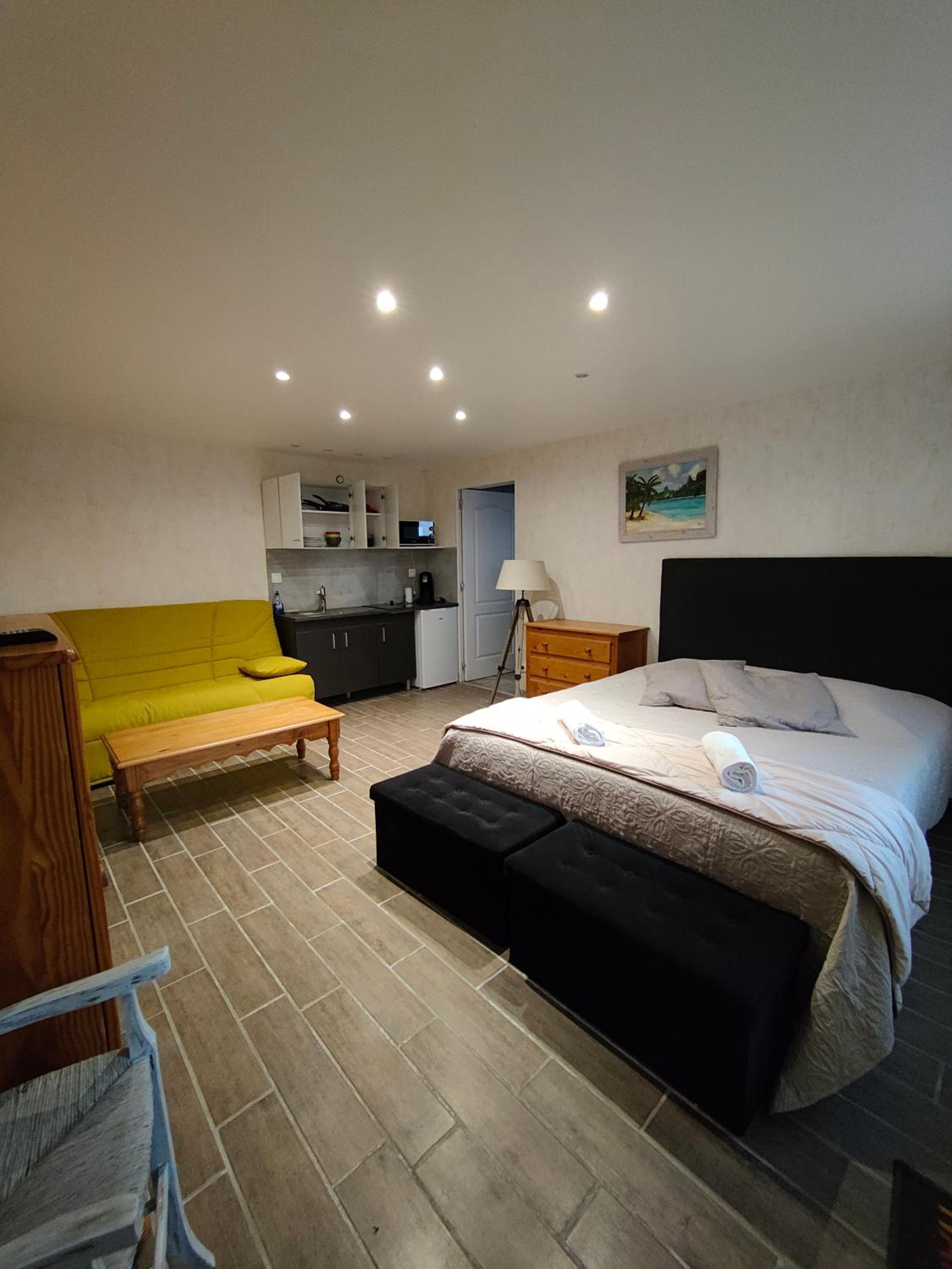 King Studio with Sofa Bed photo 2