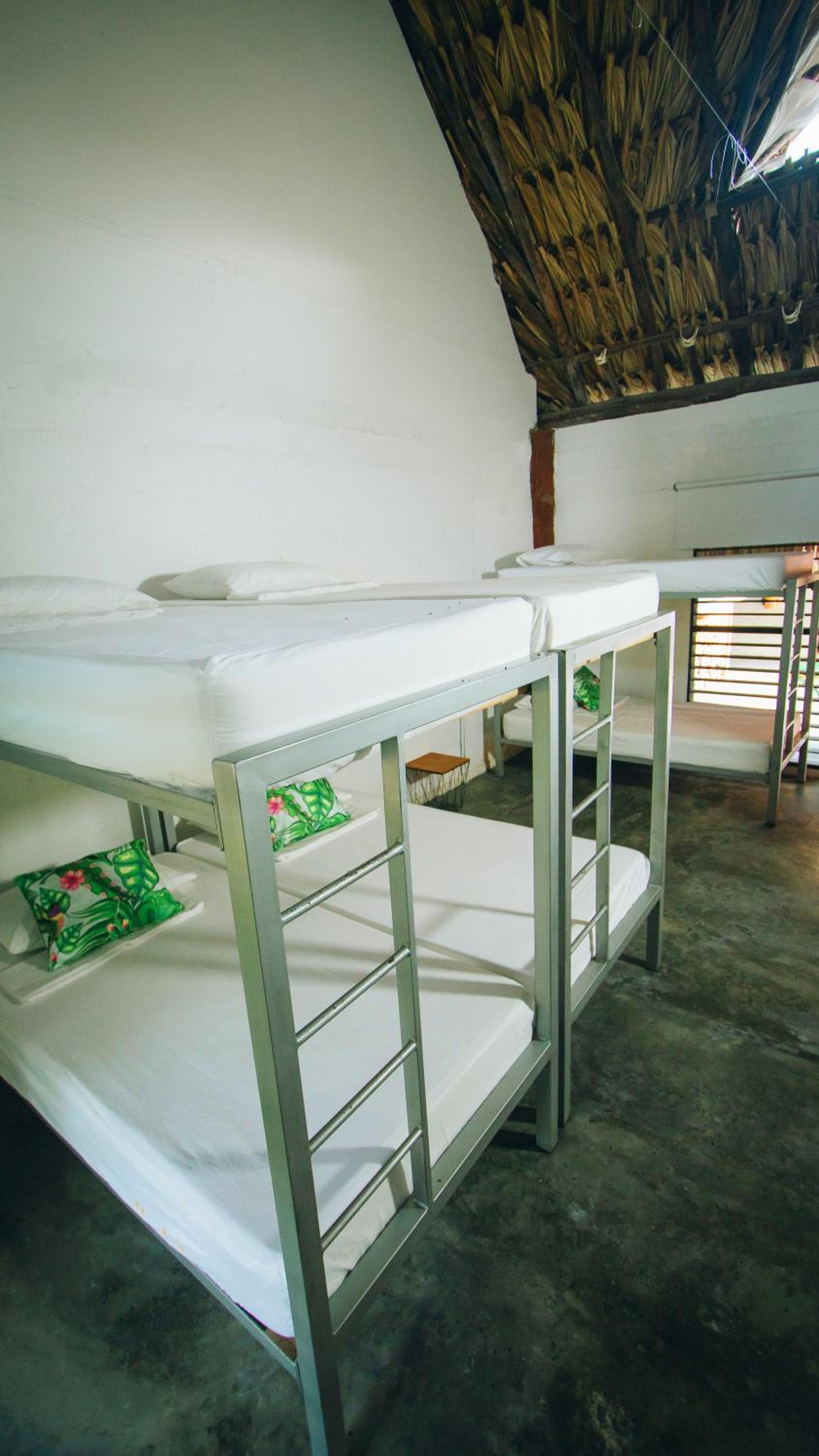 Bed in 6-Bed Mixed Dormitory Room photo 2
