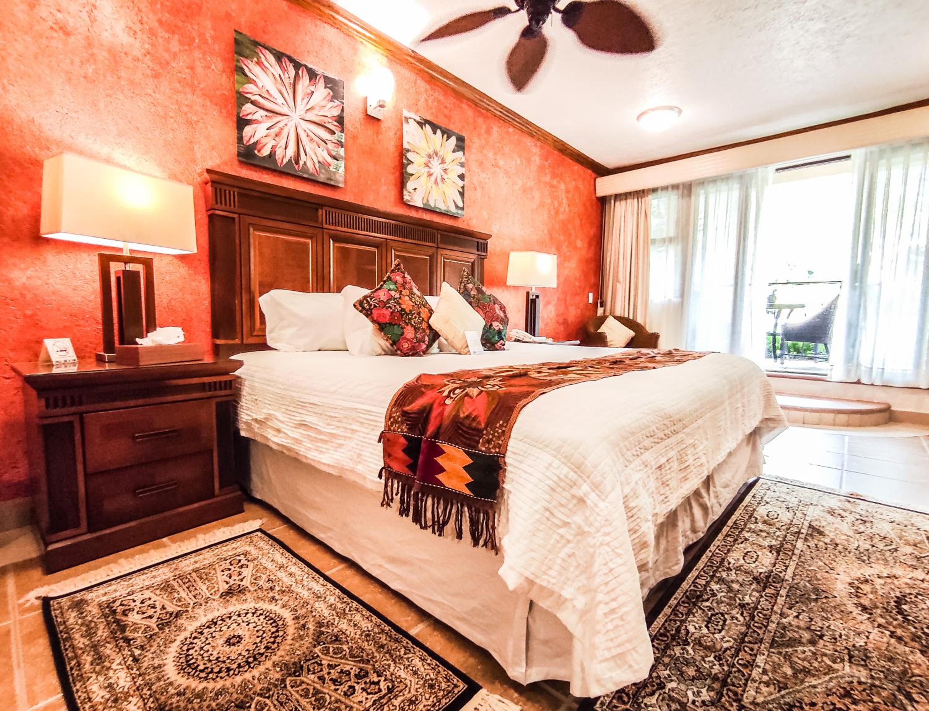 Suite - Photo 1