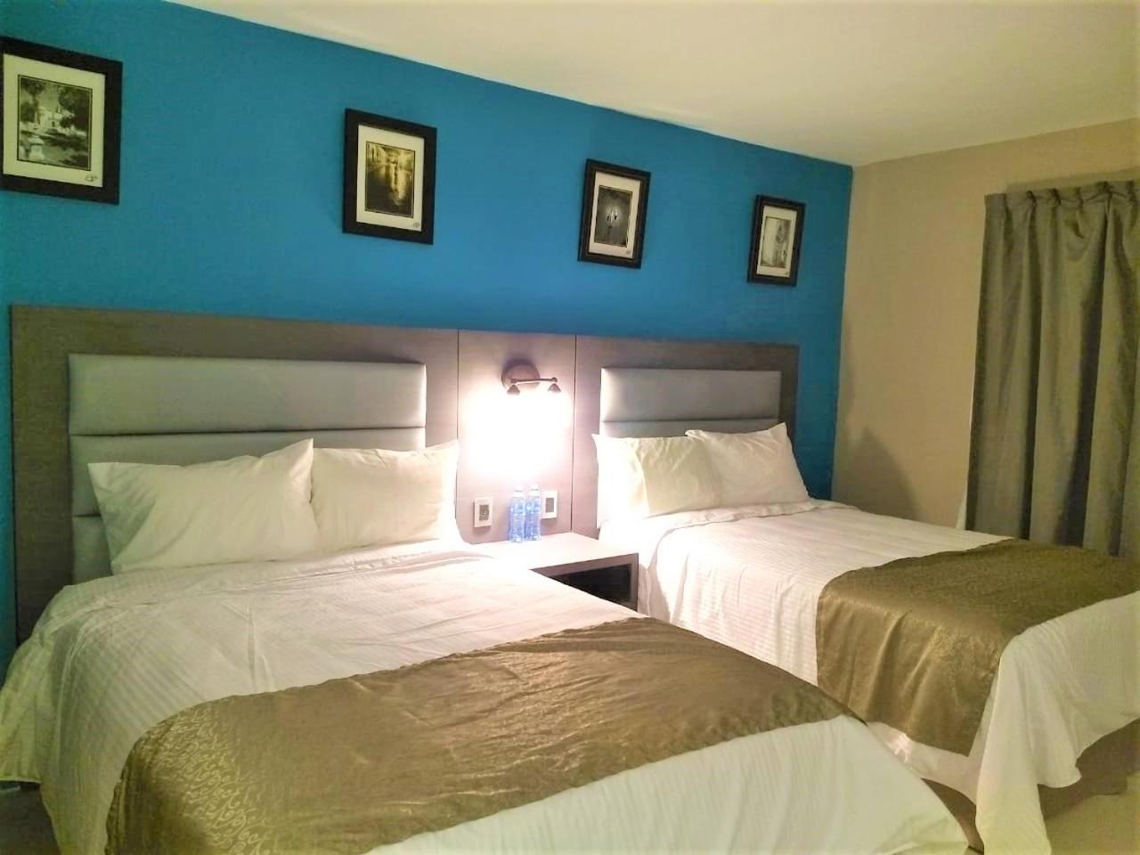 Twin Room - Photo 8