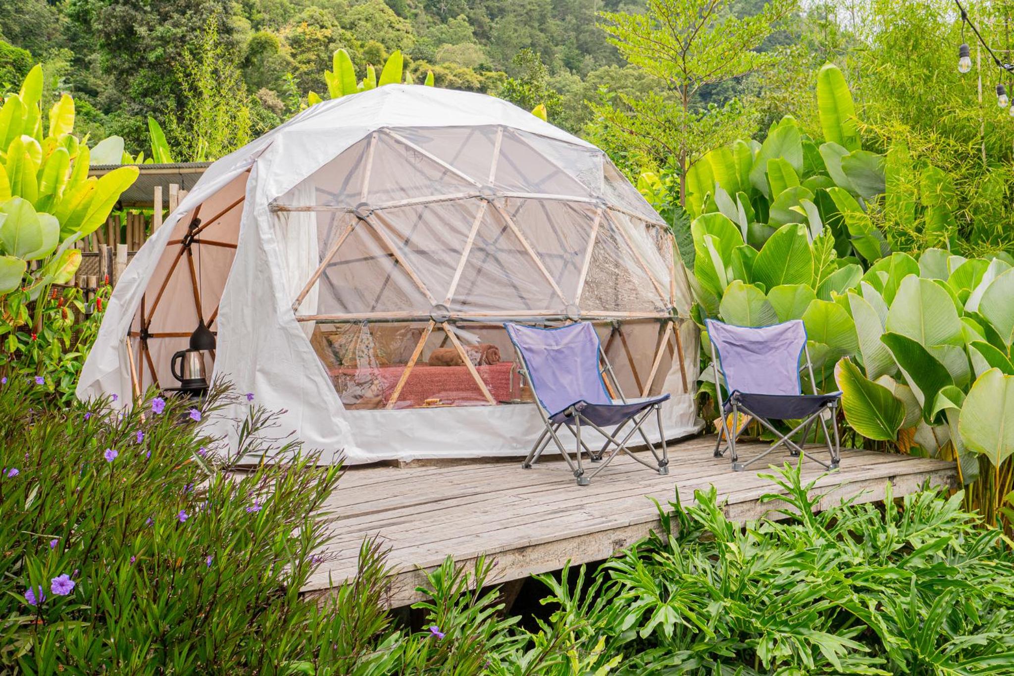 Glamping - Photo 3