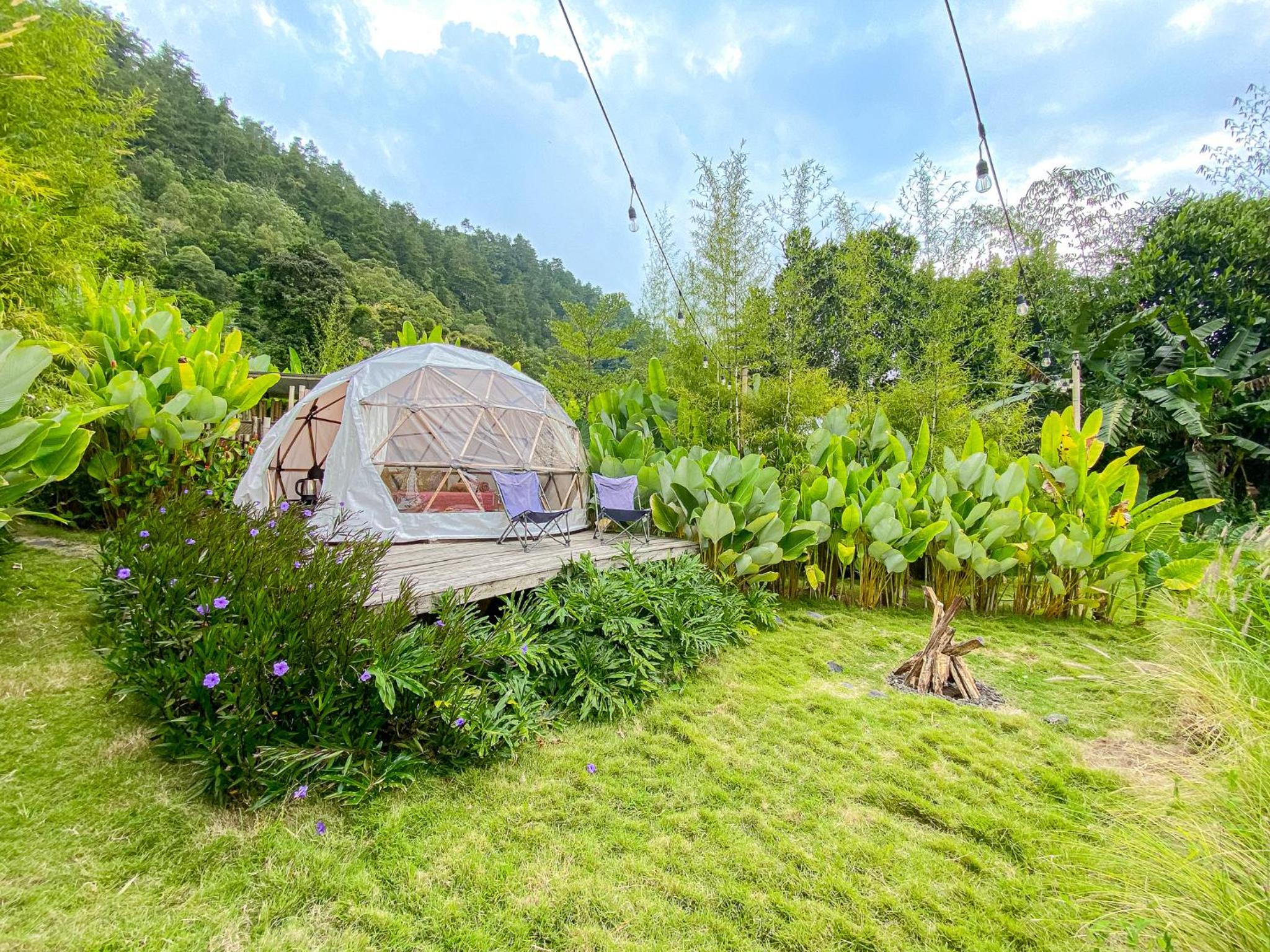 Glamping - Photo 15