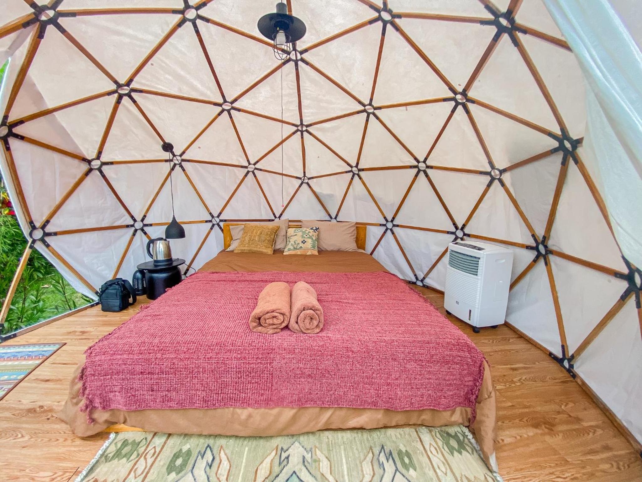 Glamping - Photo 4