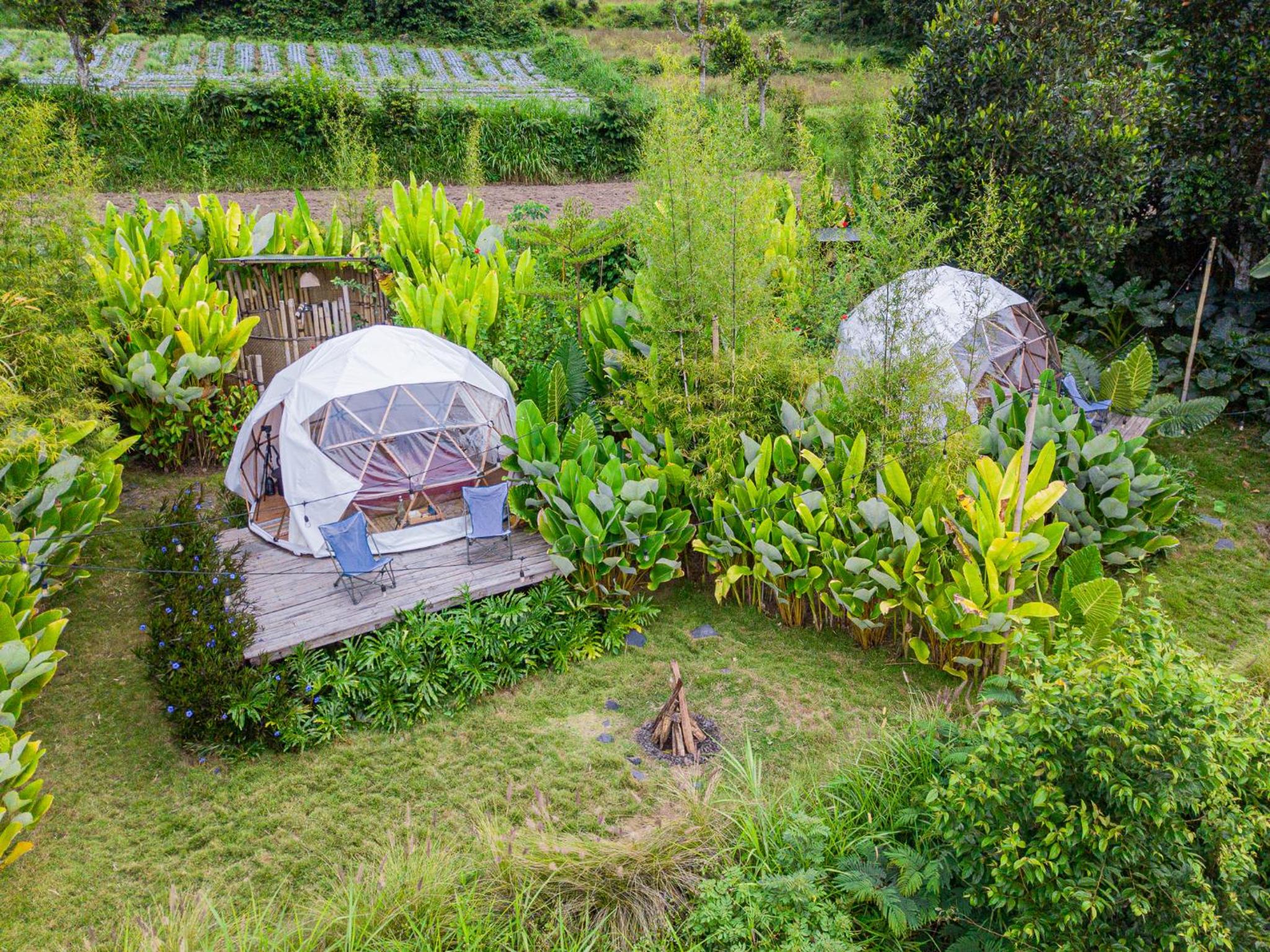 Glamping - Photo 14