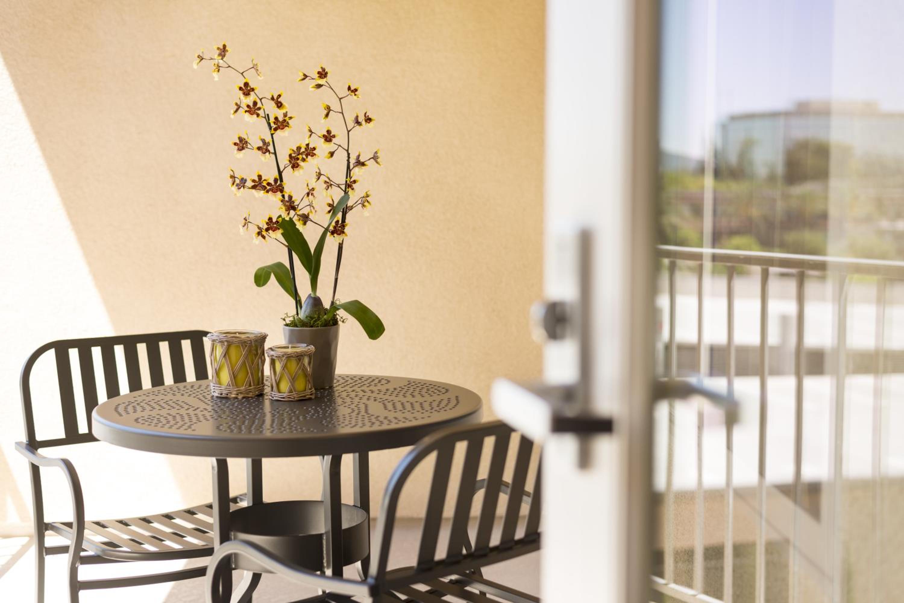 Studio with Terrace