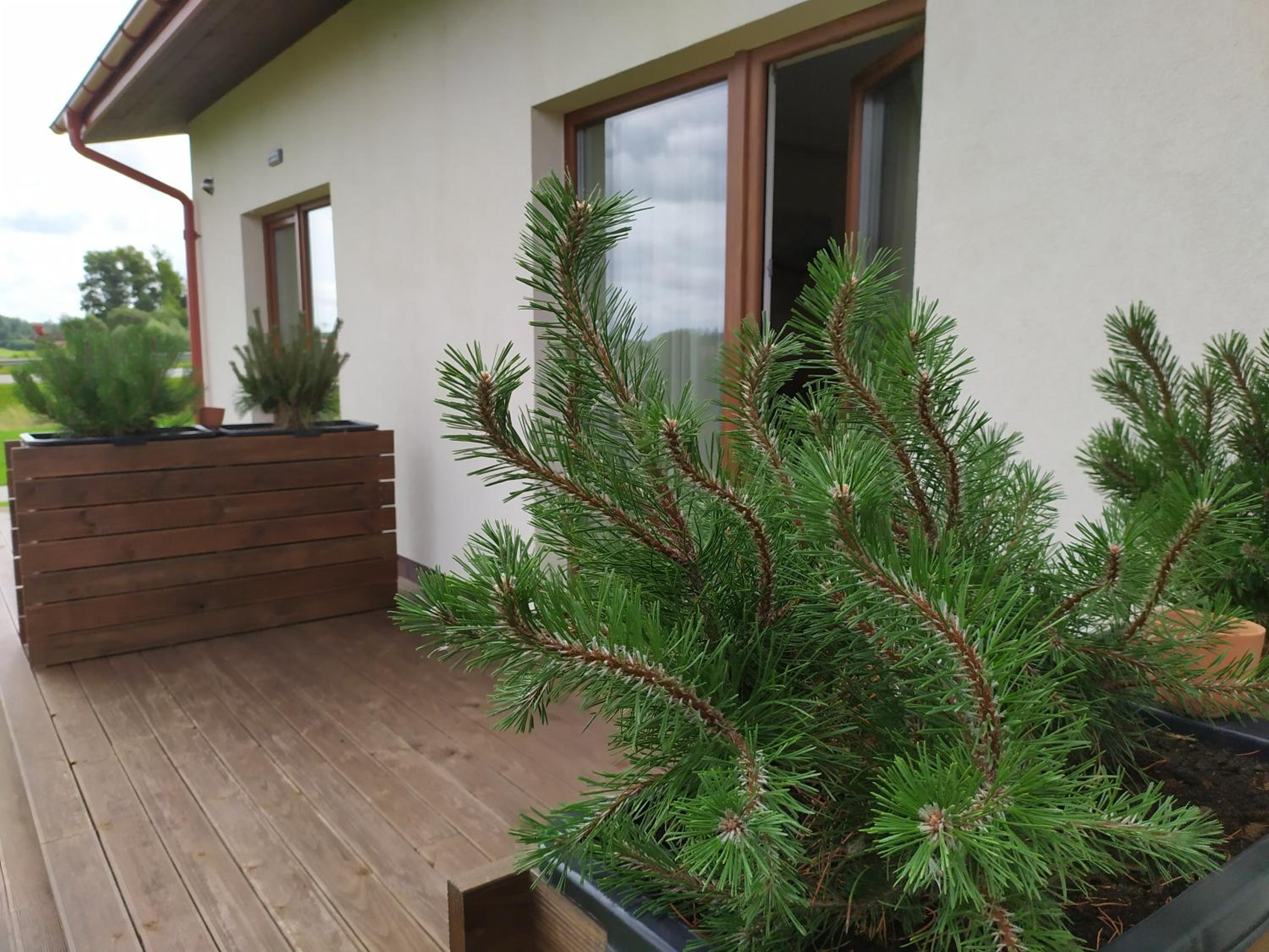 Double Room with Patio - Photo 16