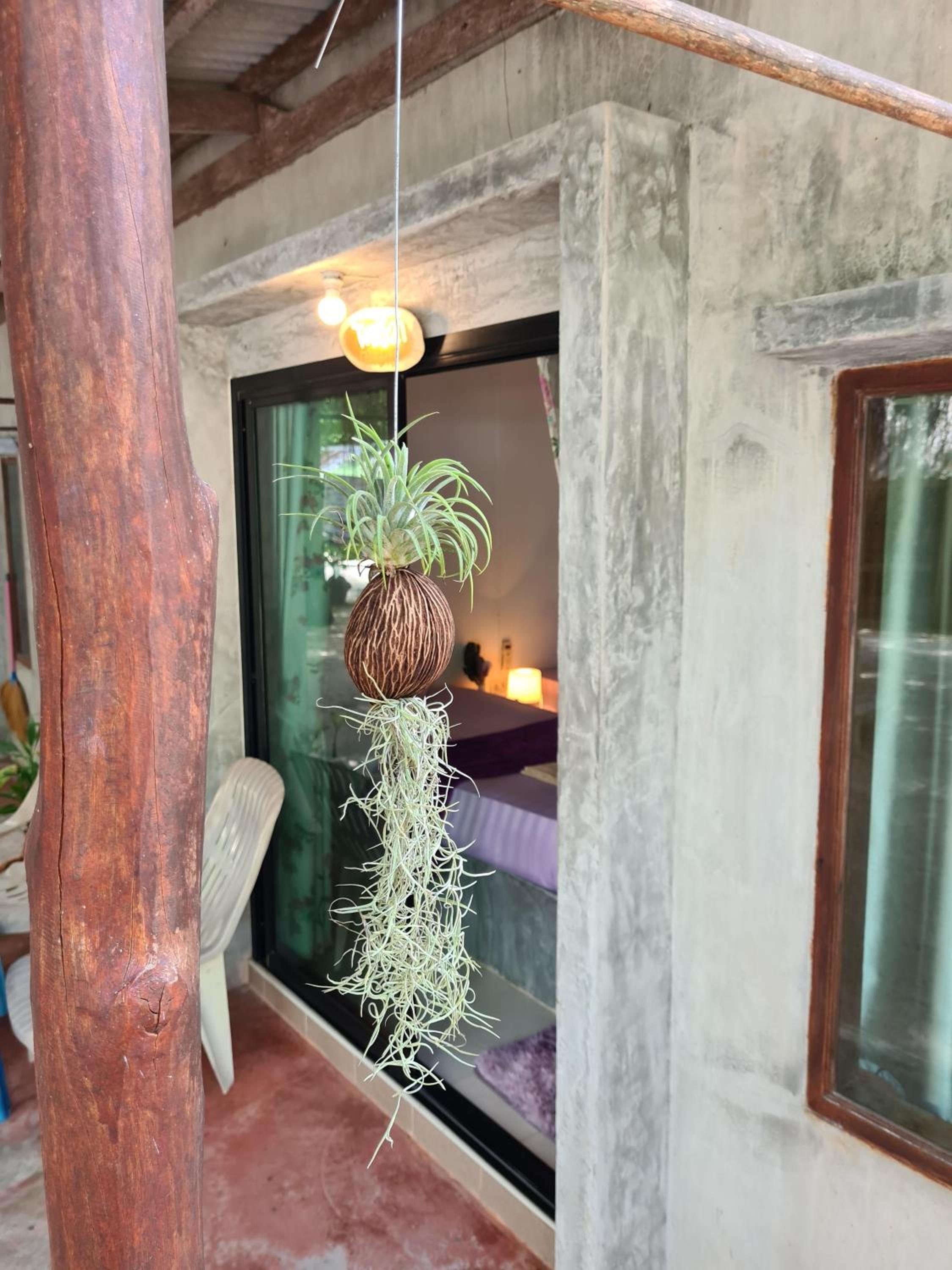 Standard Triple Room with Sea View photo 1