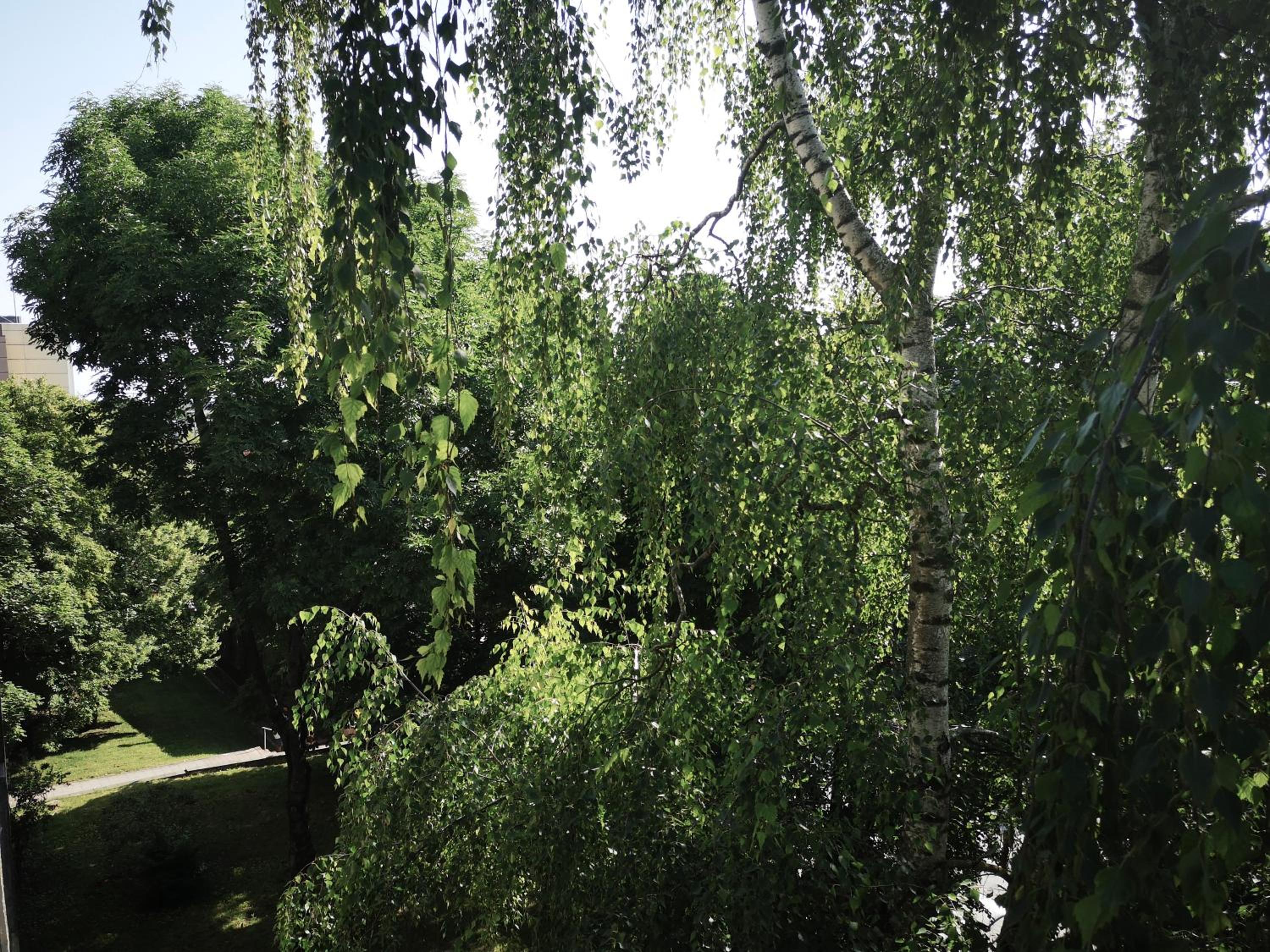 Apartment with Balcony - Photo 28