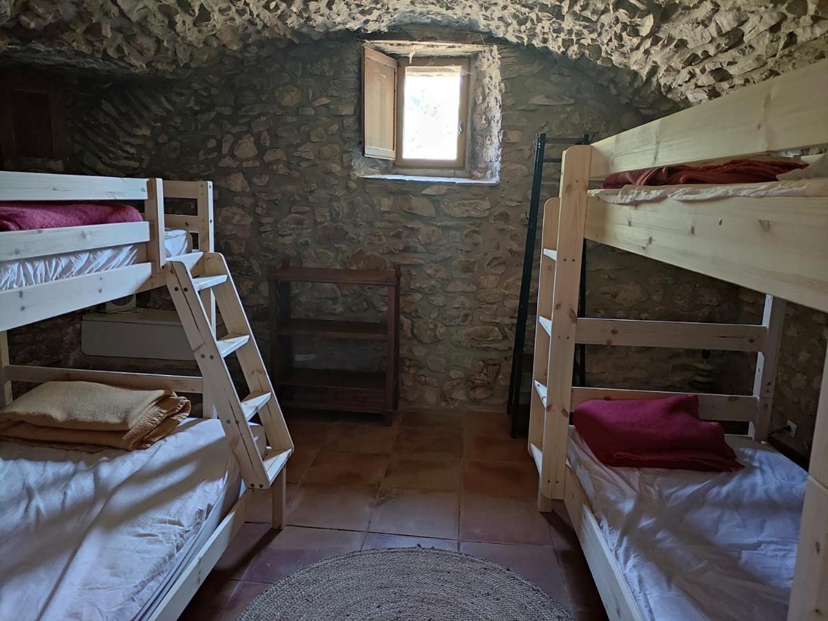 Single Bed in Dormitory Room photo 2