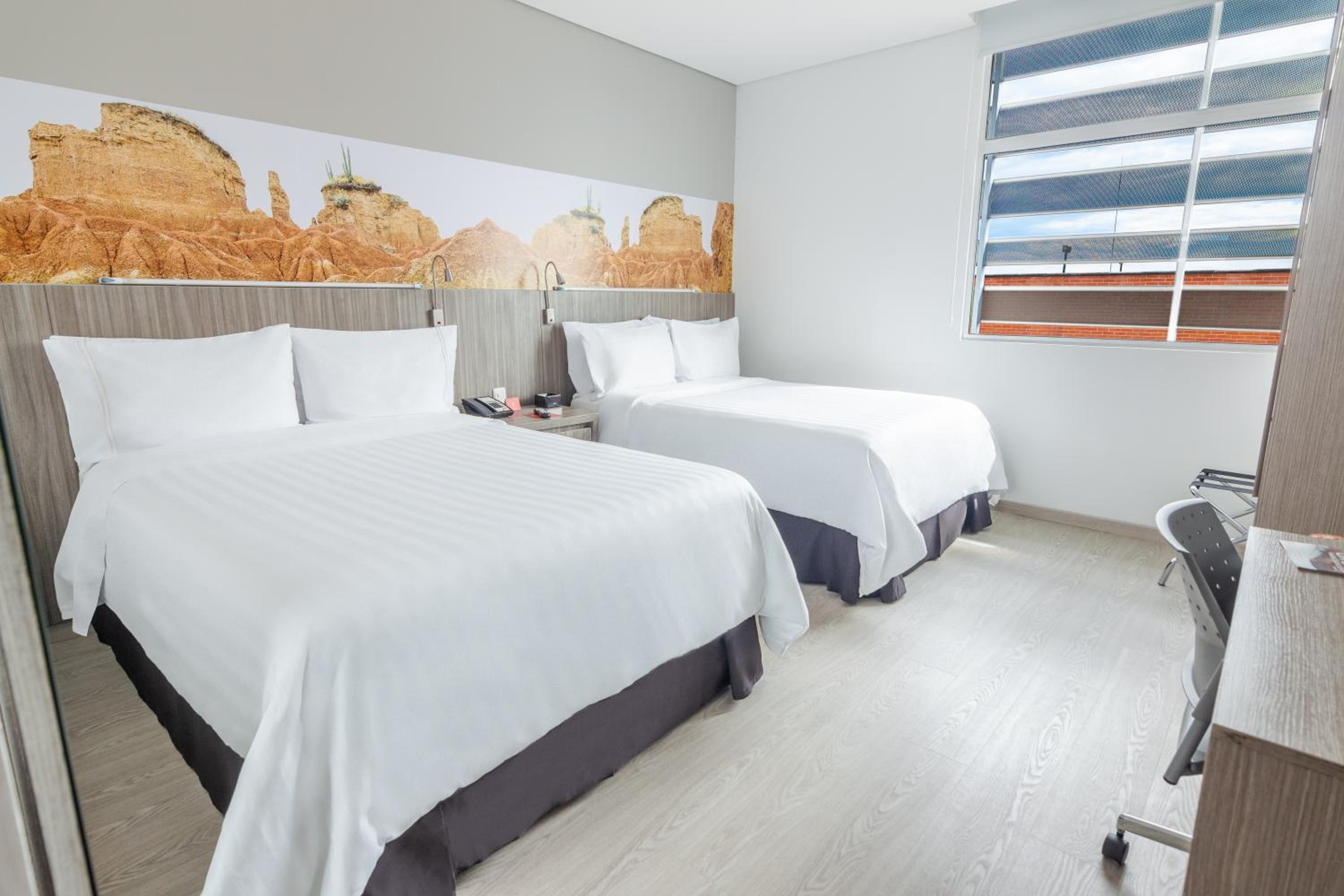 Twin Room photo 2