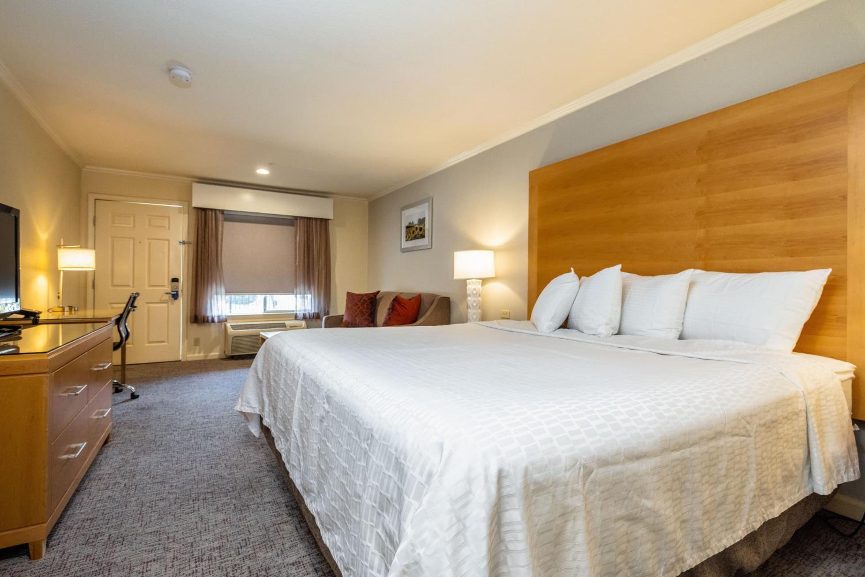 King Room - Non-Smoking - Photo 4