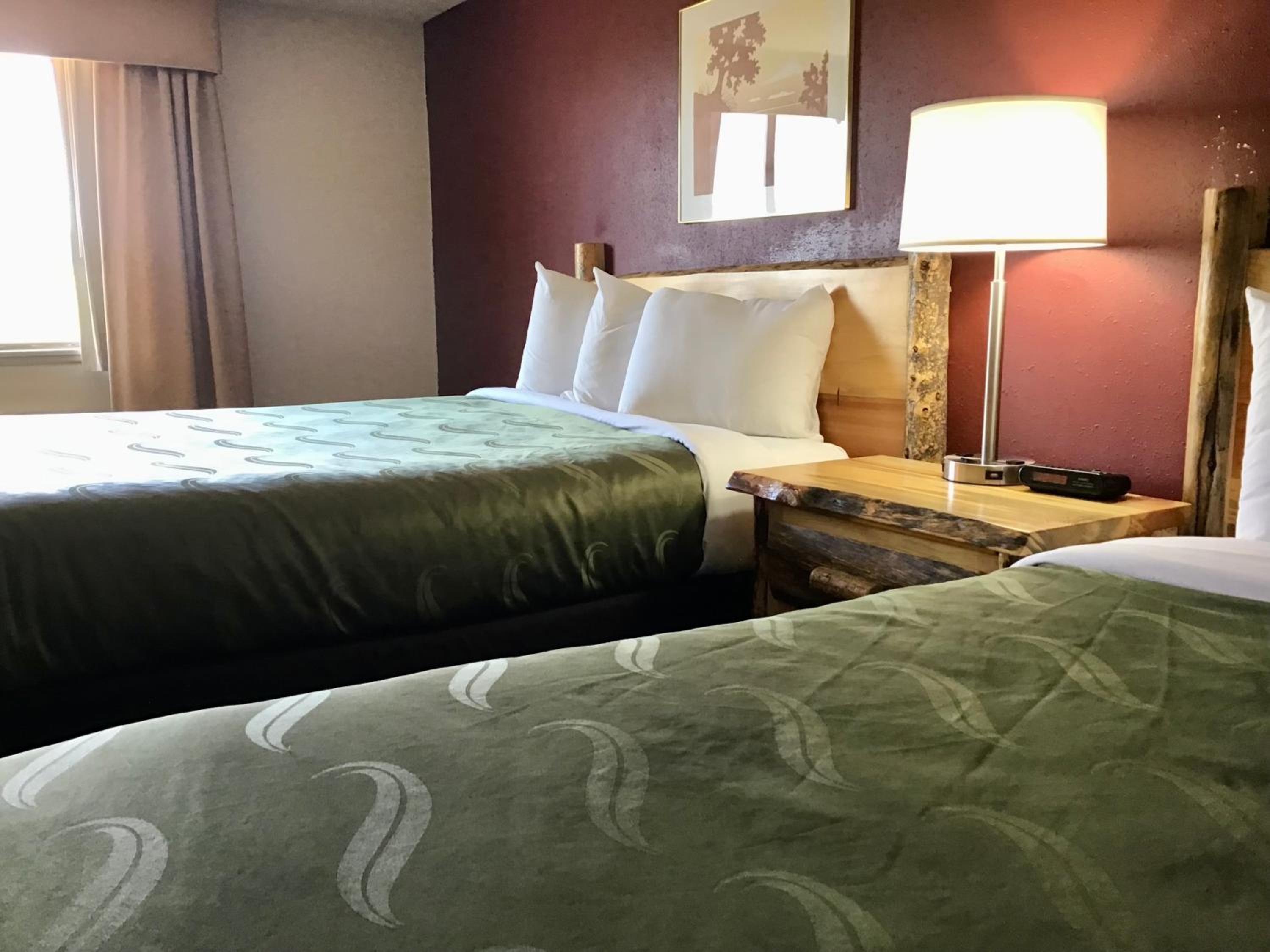 Queen Room with Two Queen Beds - Disability Access - Roll In Shower - Photo 12