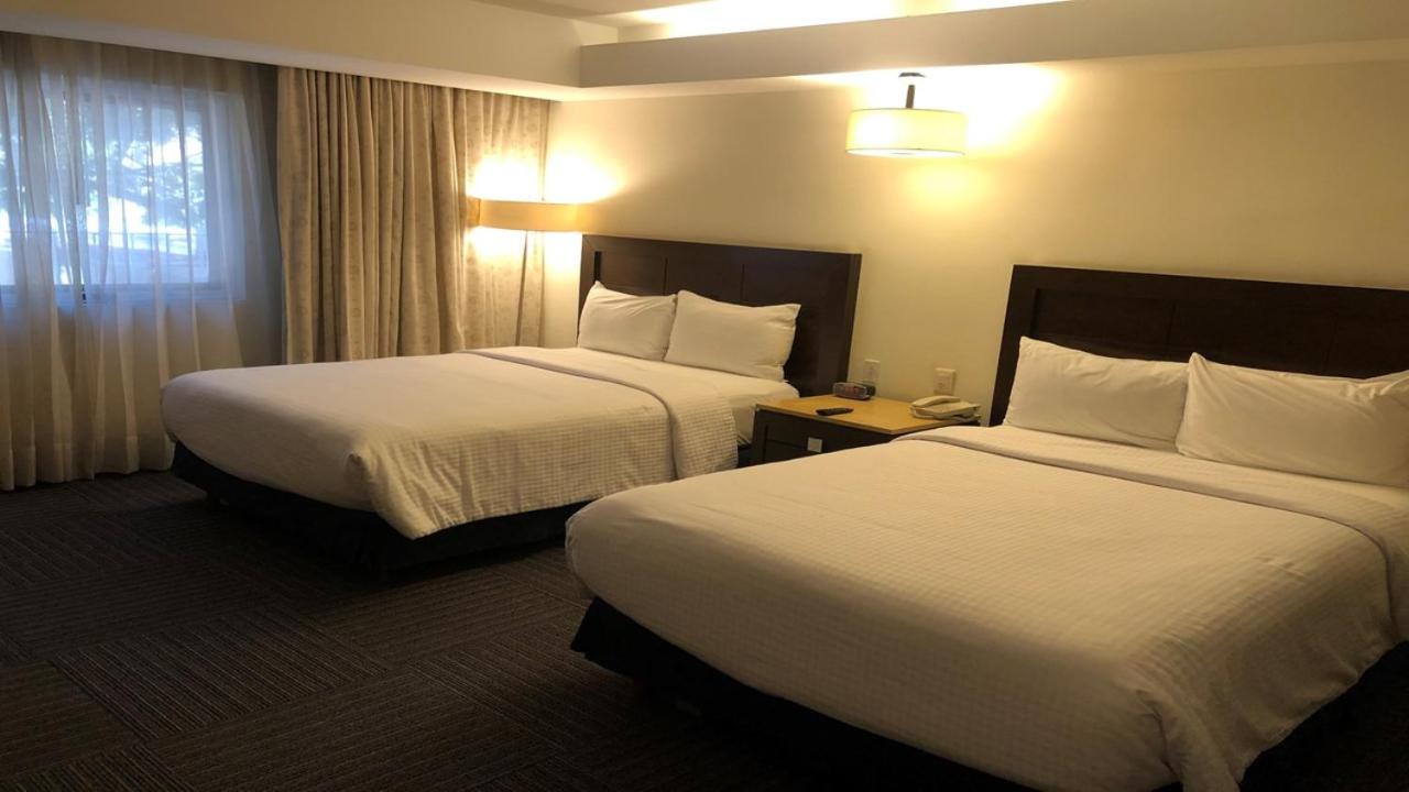 Executive Double Room - Photo 2