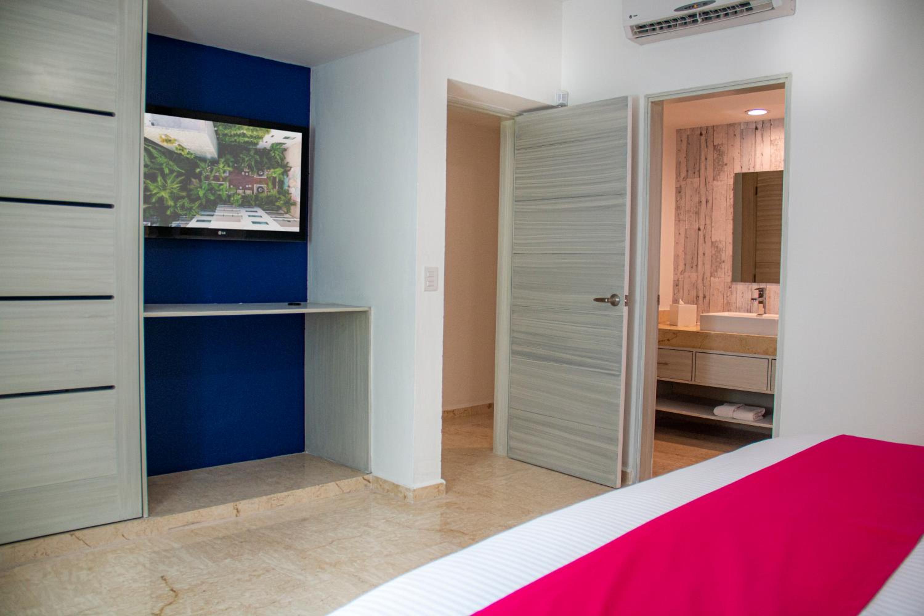 Suite - Photo 2