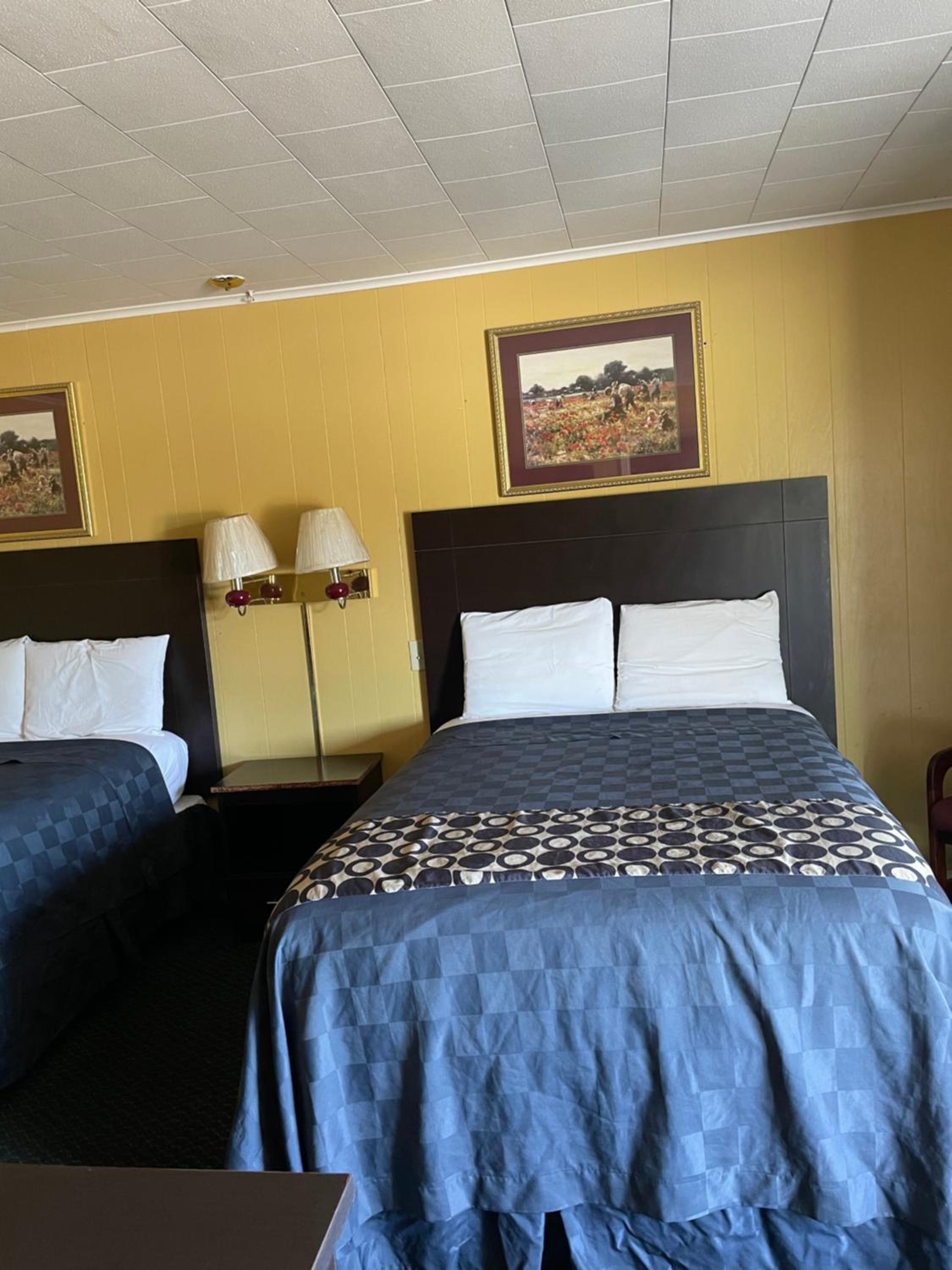 Double Room photo 1