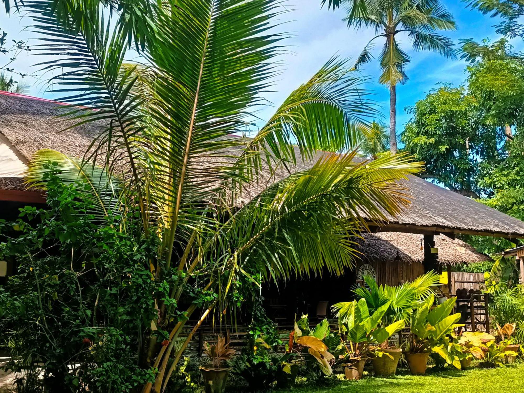 Standard Bungalow photo 2