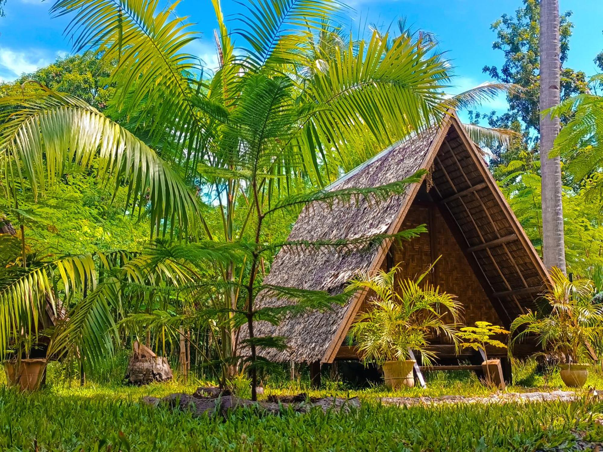 Bungalow with Fan photo 3