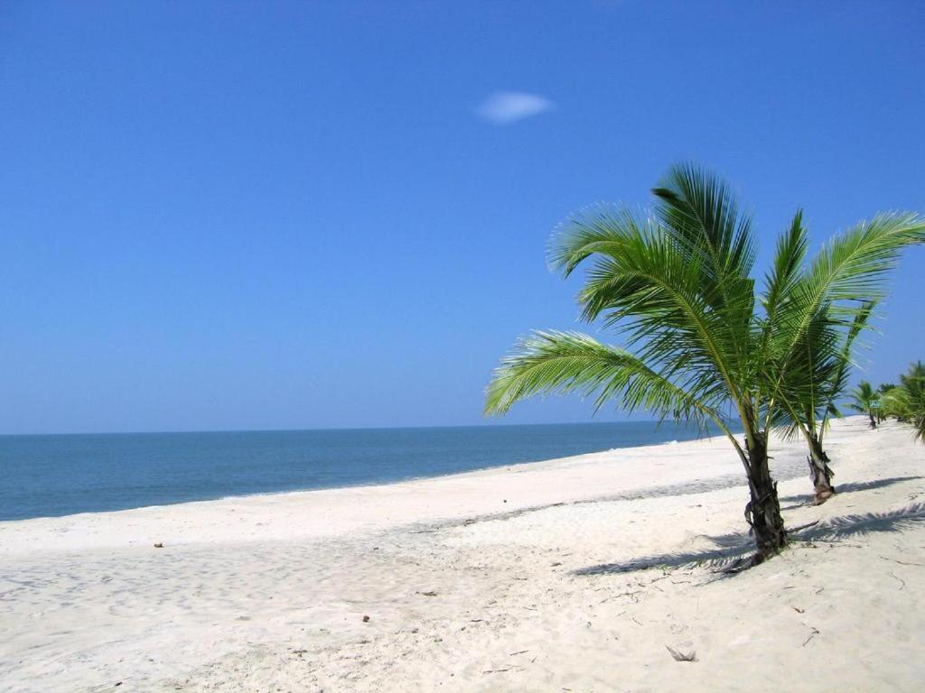 Double or Twin Room with Sea View photo 2
